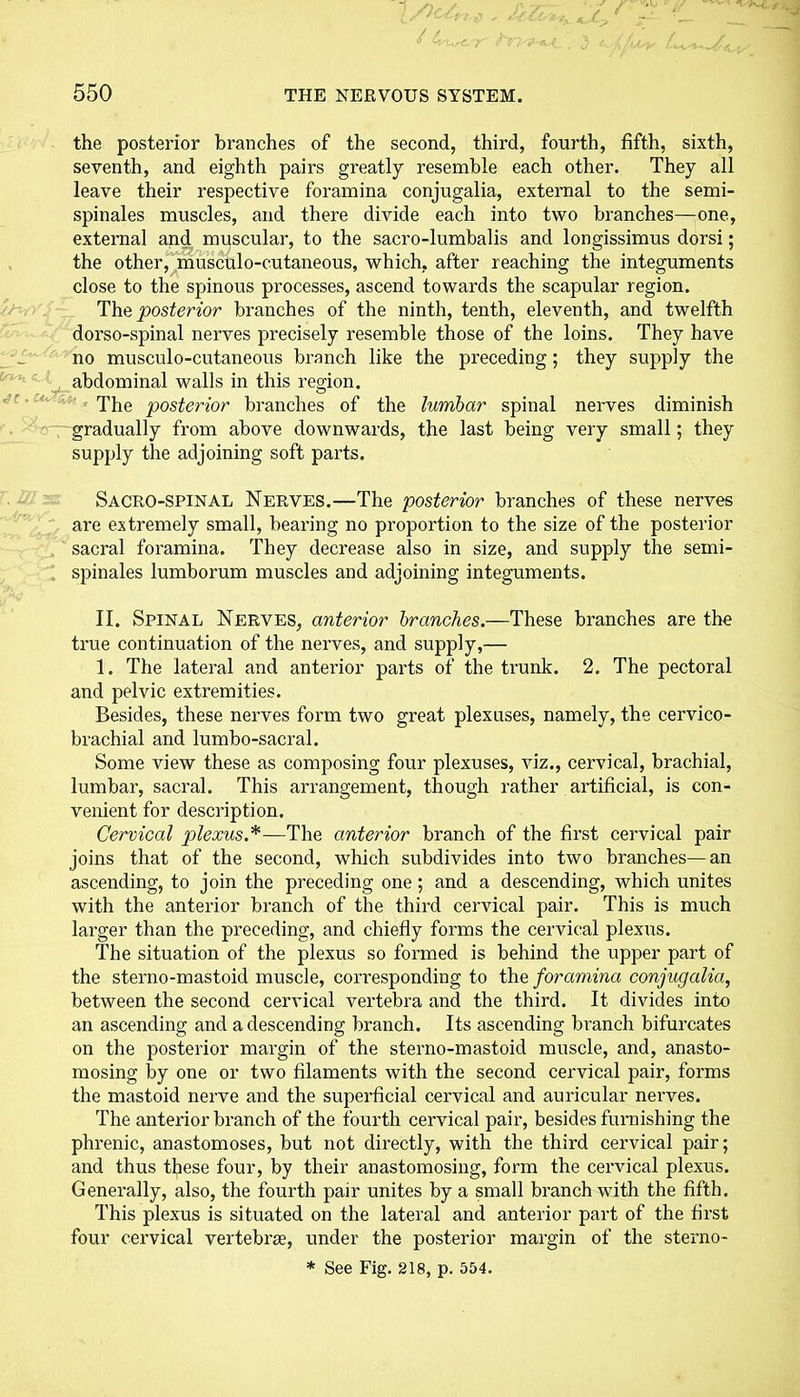 the posterior branches of the second, third, fourth, fifth, sixth, seventh, and eighth pairs greatly resemble each other. They all leave their respective foramina conjugalia, external to the semi- spinales muscles, and there divide each into two branches—one, external and muscular, to the sacro-lumbalis and longissimus dorsi; the other, musculo-cutaneous, which, after reaching the integuments close to the spinous processes, ascend towards the scapular region. The posterior branches of the ninth, tenth, eleventh, and twelfth dorso-spinal nerves precisely resemble those of the loins. They have no musculo-cutaneous branch like the preceding; they supply the abdominal walls in this region. The posterior branches of the lumbar spinal nerves diminish gradually from above downwards, the last being very small; they supply the adjoining soft parts. Sacro-spinal Nerves.—The posterior branches of these nerves are extremely small, bearing no proportion to the size of the posterior sacral foramina. They decrease also in size, and supply the semi- spinales lumborum muscles and adjoining integuments. II. Spinal Nerves, anterior branches.—These branches are the true continuation of the nerves, and supply,— 1. The lateral and anterior parts of the trunk. 2. The pectoral and pelvic extremities. Besides, these nerves form two great plexuses, namely, the cervico- brachial and lumbo-sacral. Some view these as composing four plexuses, viz., cervical, brachial, lumbar, sacral. This arrangement, though rather artificial, is con- venient for description. Cervical plexus.*—The anterior branch of the first cervical pair joins that of the second, which subdivides into two branches—an ascending, to join the preceding one; and a descending, which unites with the anterior branch of the third cervical pair. This is much larger than the preceding, and chiefly forms the cervical plexus. The situation of the plexus so formed is behind the upper part of the sterno-mastoid muscle, corresponding to the foramina conjugalia, between the second cervical vertebra and the third. It divides into an ascending and a descending branch. Its ascending branch bifurcates on the posterior margin of the sterno-mastoid muscle, and, anasto- mosing by one or two filaments with the second cervical pair, forms the mastoid nerve and the superficial cervical and auricular nerves. The anterior branch of the fourth cervical pair, besides furnishing the phrenic, anastomoses, but not directly, with the third cervical pair; and thus these four, by their anastomosing, form the cervical plexus. Generally, also, the fourth pair unites by a small branch with the fifth. This plexus is situated on the lateral and anterior part of the first four cervical vertebrae, under the posterior margin of the sterno- * See Fig. 218, p. 554.