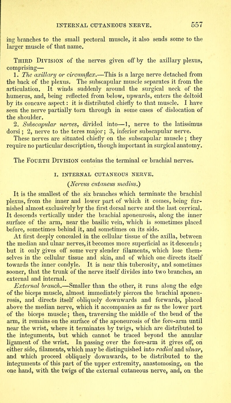 ing branches to the small pectoral muscle, it also sends some to the larger muscle of that name. Third Division of the nerves given off by the axillary plexus, comprising— 1. The axillary or circumflex.—This is a large nerve detached from the back of the plexus. The subscapular muscle separates it from the ai’ticulation. It winds suddenly around the surgical neck of the humerus, and, being reflected from below, upwards, enters the deltoid by its concave aspect: it is distributed chiefly to that muscle. I have seen the nerve partially torn through in some cases of dislocation of the shoulder. 2. Subscapular nerves, divided into—1, nerve to the latissimus dorsi; 2, nerve to the teres major; 3, inferior subscapular nerve. These nerves are situated chiefly on the subscapular muscle ; they require no particular description, though important in surgical anatomy. The Fourth Division contains the terminal or brachial nerves. I. INTERNAL CUTANEOUS NERVE. (Nervus cutaneus medius.) It is the smallest of the six branches which terminate the brachial plexus, from the inner and lower part of which it comes, being fur- nished almost exclusively by the first dorsal nerve and the last cervical. It descends vertically under the brachial aponeurosis, along the inner surface of the arm, near the basilic vein, which is sometimes placed before, sometimes behind it, and sometimes on its side. At first deeply concealed in the cellular tissue of the axilla, between the median and ulnar nerves, it becomes more superficial as it descends; but it only gives off some very slender filaments, which lose them- selves in the cellular tissue and skin, and of which one directs itself towards the inner condyle. It is near this tuberosity, and sometimes sooner, that the trunk of the nerve itself divides into two branches, an external and internal. External branch.—Smaller than the other, it runs along the edge of the biceps muscle, almost immediately pierces the brachial aponeu- rosis, and directs itself obliquely downwards and forwards, placed above the median nerve, which it accompanies as far as the lower part of the biceps muscle; then, traversing the middle of the bend of the arm, it remains on the surface of the aponeurosis of the fore-arm until near the wrist, where it terminates by twigs, which are distributed to the integuments, but which cannot be traced beyond the annular ligament of the wrist. In passing over the fore-arm it gives off, on either side, filaments, which may be distinguished into radial and ulnar, and which proceed obliquely downwards, to be distributed to the integuments of this part of the upper extremity, anastomosing, on the one hand, with the twigs of the external cutaneous nerve, and, on the