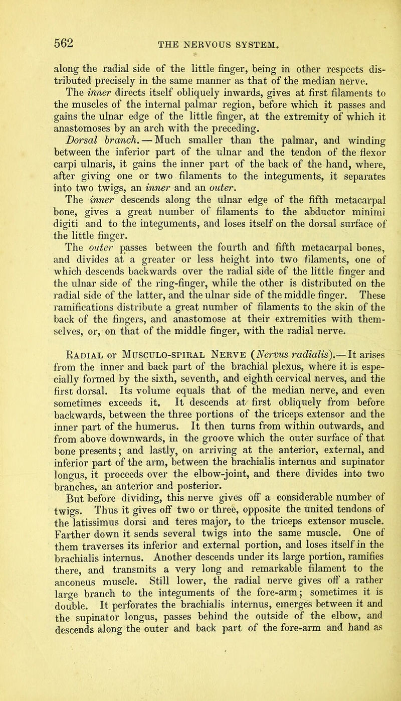 along the radial side of the little finger, being in other respects dis- tributed precisely in the same manner as that of the median nerve. The inner directs itself obliquely inwards, gives at first filaments to the muscles of the internal palmar region, before which it passes and gains the ulnar edge of the little finger, at the extremity of which it anastomoses by an arch with the preceding. Dorsal branch. — Much smaller than the palmar, and winding between the inferior part of the ulnar and the tendon of the flexor carpi ulnaris, it gains the inner part of the back of the hand, where, after giving one or two filaments to the integuments, it separates into two twigs, an inner and an outer. The inner descends along the ulnar edge of the fifth metacarpal bone, gives a great number of filaments to the abductor minimi digiti and to the integuments, and loses itself on the dorsal surface of the little finger. The outer passes between the fourth and fifth metacarpal bones, and divides at a greater or less height into two filaments, one of which descends backwards over the radial side of the little finger and the ulnar side of the ring-finger, while the other is distributed on the radial side of the latter, and the ulnar side of the middle finger. These ramifications distribute a great number of filaments to the skin of the back of the fingers, and anastomose at their extremities with them- selves, or, on that of the middle finger, with the radial nerve. Radial or Musculo-spiral Nerve (Nervus radians').— It arises from the inner and back part of the brachial plexus, where it is espe- cially formed by the sixth, seventh, and eighth cervical nerves, and the first dorsal. Its volume equals that of the median nerve, and even sometimes exceeds it. It descends at first obliquely from before backwards, between the three portions of the triceps extensor and the inner part of the humerus. It then turns from within outwards, and from above downwards, in the groove which the outer surface of that bone presents; and lastly, on arriving at the anterior, external, and inferior part of the arm, between the brachialis internus and supinator longus, it proceeds over the elbow-joint, and there divides into two branches, an anterior and posterior. But before dividing, this nerve gives off a considerable number of twigs. Thus it gives off two or three, opposite the united tendons of the latissimus dorsi and teres major, to the triceps extensor muscle. Farther down it sends several twigs into the same muscle. One of them traverses its inferior and external portion, and loses itself in the brachialis internus. Another descends under its large portion, ramifies there, and transmits a very long and remarkable filament to the anconeus muscle. Still lower, the radial nerve gives off a rather large branch to the integuments of the fore-arm; sometimes it is double. It perforates the brachialis internus, emerges between it and the supinator longus, passes behind the outside of the elbow, and descends along the outer and back part of the fore-arm and hand as