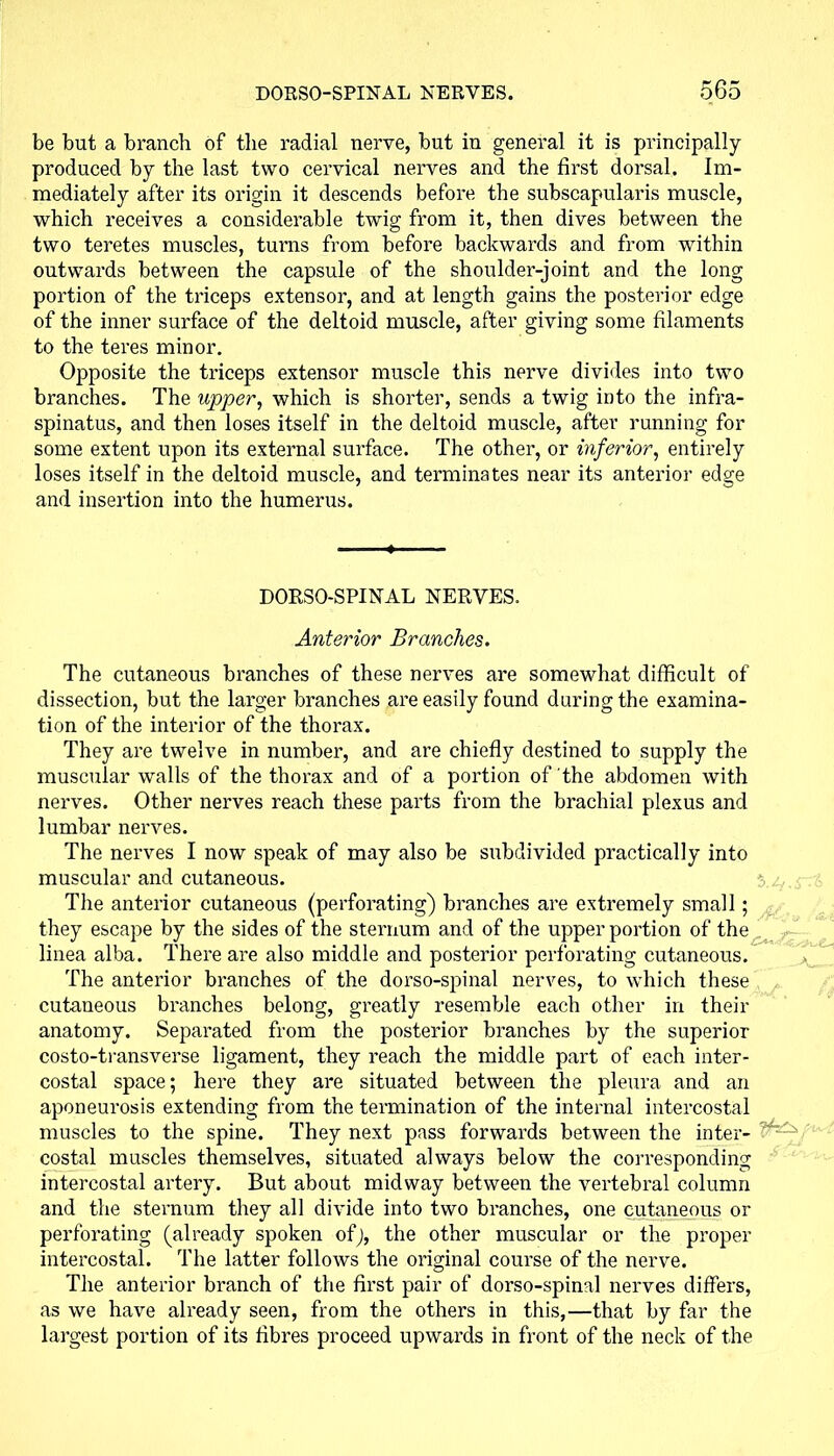 be but a branch of the radial nerve, but in general it is principally produced by the last two cervical nerves and the first dorsal. Im- mediately after its origin it descends before the subscapularis muscle, which receives a considerable twig from it, then dives between the two teretes muscles, turns from before backwards and from within outwards between the capsule of the shoulder-joint and the long portion of the triceps extensor, and at length gains the posterior edge of the inner surface of the deltoid muscle, after giving some filaments to the teres minor. Opposite the triceps extensor muscle this nerve divides into two branches. The upper, which is shorter, sends a twig into the infra- spinatus, and then loses itself in the deltoid muscle, after running for some extent upon its external surface. The other, or inferior, entirely loses itself in the deltoid muscle, and terminates near its anterior edge and insertion into the humerus. DORSO-SPINAL NERVES. Anterior Branches. The cutaneous branches of these nerves are somewhat difficult of dissection, but the larger branches are easily found during the examina- tion of the interior of the thorax. They are twelve in number, and are chiefly destined to supply the muscular walls of the thorax and of a portion of the abdomen with nerves. Other nerves reach these parts from the brachial plexus and lumbar nerves. The nerves I now speak of may also be subdivided practically into muscular and cutaneous. 5 The anterior cutaneous (perforating) branches are extremely small; they escape by the sides of the sternum and of the upper portion of the linea alba. There are also middle and posterior perforating cutaneous. The anterior branches of the dorso-spinal nerves, to which these cutaneous branches belong, greatly resemble each other in their anatomy. Separated from the posterior branches by the superior costo-transverse ligament, they reach the middle part of each inter- costal space; here they are situated between the pleura and an aponeurosis extending from the termination of the internal intercostal muscles to the spine. They next pass forwards between the inter- costal muscles themselves, situated always below the corresponding intercostal artery. But about midway between the vertebral column and the sternum they all divide into two branches, one cutaneous or perforating (already spoken of), the other muscular or the proper intercostal. The latter follows the original course of the nerve. The anterior branch of the first pair of dorso-spinal nerves differs, as we have already seen, from the others in this,—that by far the largest portion of its fibres proceed upwards in front of the neck of the