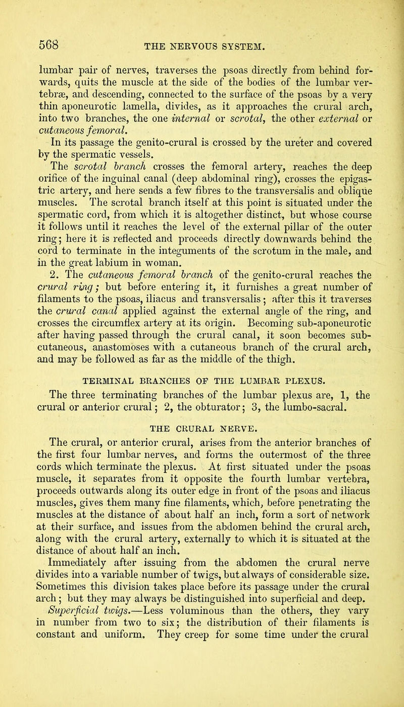 lumbar pair of nerves, traverses the psoas directly from behind for- wards, quits the muscle at the side of the bodies of the lumbar vei*- tebrse, and descending, connected to the surface of the psoas by a very thin aponeurotic lamella, divides, as it approaches the crural arch, into two branches, the one internal or scrotal, the other external or cutaneous femoral. In its passage the genito-crural is crossed by the ureter and covered by the spermatic vessels. The scrotal branch crosses the femoral artery, reaches the deep orifice of the inguinal canal (deep abdominal ring), crosses the epigas- tric artery, and here sends a few fibres to the transversalis and oblique muscles. The scrotal branch itself at this point is situated under the spermatic cord, from which it is altogether distinct, but whose course it follows until it reaches the level of the external pillar of the outer ring; here it is reflected and proceeds directly downwards behind the cord to terminate in the integuments of the scrotum in the male, and in the great labium in woman. 2. The cutaneous femoral branch of the genito-crural reaches the crural ring; but before entering it, it furnishes a great number of filaments to the psoas, iliacus and transversalis; after this it traverses the crural canal applied against the external angle of the ring, and crosses the circumflex artery at its origin. Becoming sub-aponeurotic after having passed through the crural canal, it soon becomes sub- cutaneous, anastomoses with a cutaneous branch of the crural arch, and may be followed as far as the middle of the thigh. TERMINAL BRANCHES OF THE LUMBAR PLEXUS. The three terminating branches of the lumbar plexus are, 1, the crural or anterior crural; 2, the obturator; 3, the lumbo-sacral. THE CRURAL NERVE. The crural, or anterior crural, arises from the anterior branches of the first four lumbar nerves, and forms the outermost of the three cords which terminate the plexus. At first situated under the psoas muscle, it separates from it opposite the fourth lumbar vertebra, proceeds outwards along its outer edge in front of the psoas and iliacus muscles, gives them many fine filaments, which, before penetrating the muscles at the distance of about half an inch, form a sort of network at their surface, and issues from the abdomen behind the crural arch, along with the crural artery, externally to which it is situated at the distance of about half an inch. Immediately after issuing from the abdomen the crural nerve divides into a variable number of twigs, but always of considerable size. Sometimes this division takes place before its passage under the crural arch; but they may always be distinguished into superficial and deep. Superficial twigs.—Less voluminous than the others, they vary in number from two to six; the distribution of their filaments is constant and uniform. They creep for some time under the crural