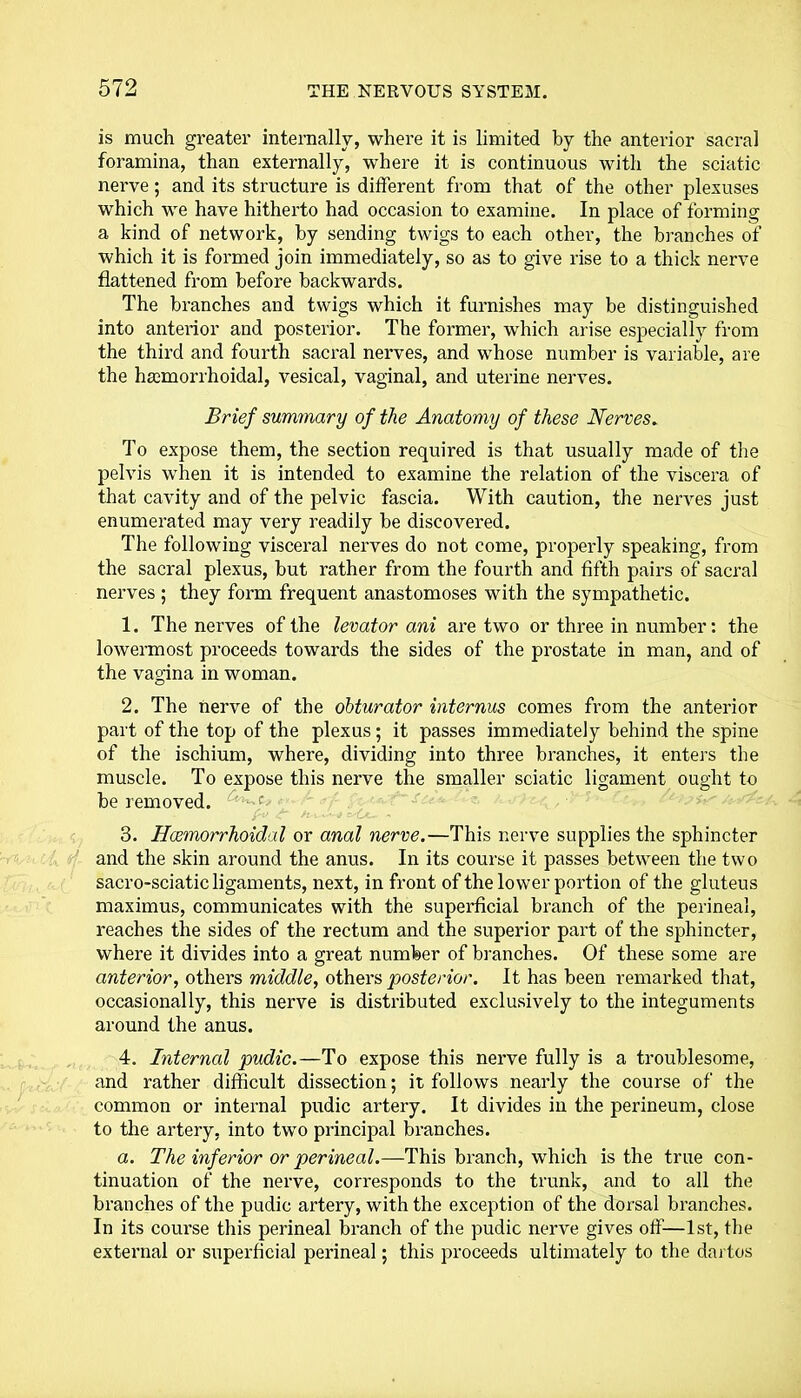 is much greater internally, where it is limited by the anterior sacral foramina, than externally, where it is continuous with the sciatic nerve; and its structure is different from that of the other plexuses which we have hitherto had occasion to examine. In place of forming a kind of network, by sending twigs to each other, the branches of which it is formed join immediately, so as to give rise to a thick nerve flattened from before backwards. The branches and twigs which it furnishes may be distinguished into anterior and posterior. The former, which arise especially from the third and fourth sacral nerves, and whose number is variable, are the haemorrhoidal, vesical, vaginal, and uterine nerves. Brief summary of the Anatomy of these Nerves. To expose them, the section required is that usually made of the pelvis when it is intended to examine the relation of the viscera of that cavity and of the pelvic fascia. With caution, the nerves just enumerated may very readily be discovered. The following visceral nerves do not come, properly speaking, from the sacral plexus, but rather from the fourth and fifth pairs of sacral nerves ; they form frequent anastomoses with the sympathetic. 1. The nerves of the levator ani are two or three in number: the lowermost proceeds towards the sides of the prostate in man, and of the vagina in woman. 2. The nerve of the obturator internus comes from the anterior part of the top of the plexus; it passes immediately behind the spine of the ischium, where, dividing into three branches, it enters the muscle. To expose this nerve the smaller sciatic ligament ought to be removed. c f-o & /m <-w - 3. Hajmorrhoidal or anal nerve.—This nerve supplies the sphincter and the skin around the anus. In its course it passes between the two sacro-sciatic ligaments, next, in front of the lower portion of the gluteus maximus, communicates with the superficial branch of the perineal, reaches the sides of the rectum and the superior part of the sphincter, where it divides into a great number of branches. Of these some are anterior, others middle, others posterior. It has been remarked that, occasionally, this nerve is distributed exclusively to the integuments around the anus. 4. Internal pudic.—To expose this nerve fully is a troublesome, and rather difficult dissection; it follows nearly the course of the common or internal pudic artery. It divides in the perineum, close to the artery, into two principal branches. a. The inferior or perineal.—This branch, which is the true con- tinuation of the nerve, corresponds to the trunk, and to all the branches of the pudic artery, with the exception of the dorsal branches. In its course this perineal branch of the pudic nerve gives oif—1st, the external or superficial perineal; this proceeds ultimately to the dartos