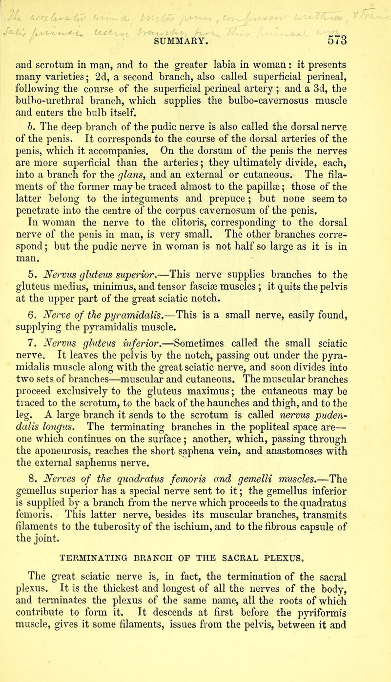 - . sk*. &rcc y' A '' ; -. lyyic *, ' ■,■f-.. ~ '-t1'-/ < ' ■'' ■; « C -- _ SUMMARY. 5/3 and scrotum in man, and to the greater labia in woman: it presents many varieties; 2d, a second branch, also called superficial perineal, following the course of the superficial perineal artery; and a 3d, the bulbo-urethral branch, which supplies the bulbo-cavernosus muscle and enters the bulb itself. b. The deep branch of the pudic nerve is also called the dorsal nerve of the penis. It corresponds to the course of the dorsal arteries of the penis, which it accompanies. On the dorsum of the penis the nerves are more superficial than the arteries; they ultimately divide, each, into a branch for the glans, and an external or cutaneous. The fila- ments of the former may be traced almost to the papillae; those of the latter belong to the integuments and prepuce ; but none seem to penetrate into the centre of the corpus cavernosum of the penis. In woman the nerve to the clitoris, corresponding to the dorsal nerve of the penis in man, is very small. The other branches corre- spond ; but the pudic nerve in woman is not half so large as it is in man. 5. Nervus gluteus superior.—This nerve supplies branches to the gluteus medius, minimus, and tensor fasciae muscles; it quits the pelvis at the upper part of the great sciatic notch. 6. Nerve of the pyramidalis.—This is a small nerve, easily found, supplying the pyramidalis muscle. 7. Nervus gluteus inferior.—Sometimes called the small sciatic nerve. It leaves the pelvis by the notch, passing out under the pyra- midalis muscle along with the great sciatic nerve, and soon divides into two sets of branches—muscular and cutaneous. The muscular branches proceed exclusively to the gluteus maximus; the cutaneous may be traced to the scrotum, to the back of the haunches and thigh, and to the leg. A large branch it sends to the scrotum is called nervus puden- dalis longus. The terminating branches in the popliteal space are— one which continues on the surface ; another, which, passing through the aponeurosis, reaches the short saphena vein, and anastomoses with the external saphenus nerve. 8. Nerves of the quadratus femoris and gemelli muscles.—The gemellus superior has a special nerve sent to it; the gemellus inferior is supplied by a branch from the nerve which proceeds to the quadratus femoris. This latter nerve, besides its muscular branches, transmits filaments to the tuberosity of the ischium, and to the fibrous capsule of the joint. TERMINATING BRANCH OF THE SACRAL PLEXUS. The great sciatic nerve is, in fact, the termination of the sacral plexus. It is the thickest and longest of all the nerves of the body, and terminates the plexus of the same name, all the roots of which contribute to form it. It descends at first before the pyriformis muscle, gives it some filaments, issues from the pelvis, between it and