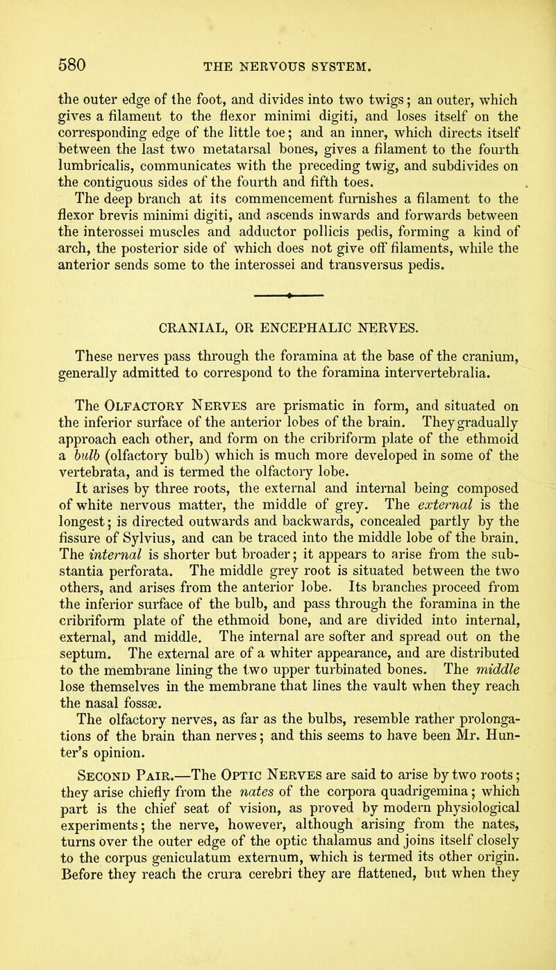 the outer edge of the foot, and divides into two twigs; an outer, which gives a filament to the flexor minimi digiti, and loses itself on the corresponding edge of the little toe; and an inner, which directs itself between the last two metatarsal bones, gives a filament to the fourth lumbricalis, communicates with the preceding twig, and subdivides on the contiguous sides of the fourth and fifth toes. The deep branch at its commencement furnishes a filament to the flexor brevis minimi digiti, and ascends inwards and forwards between the interossei muscles and adductor pollicis pedis, forming a kind of arch, the posterior side of which does not give off filaments, while the anterior sends some to the interossei and transversus pedis. CRANIAL, OR ENCEPHALIC NERVES. These nerves pass through the foramina at the base of the cranium, generally admitted to correspond to the foramina intervertebralia. The Olfactory Nerves are prismatic in form, and situated on the inferior surface of the anterior lobes of the brain. They gradually approach each other, and form on the cribriform plate of the ethmoid a bulb (olfactory bulb) which is much more developed in some of the vertebrata, and is termed the olfactory lobe. It arises by three roots, the external and internal being composed of white nervous matter, the middle of grey. The external is the longest; is directed outwards and backwards, concealed partly by the fissure of Sylvius, and can be traced into the middle lobe of the brain. The internal is shorter but broader; it appears to arise from the sub- stantia perforata. The middle grey root is situated between the two others, and arises from the anterior lobe. Its branches proceed from the inferior surface of the bulb, and pass through the foramina in the cribriform plate of the ethmoid bone, and are divided into internal, external, and middle. The internal are softer and spread out on the septum. The external are of a whiter appearance, and are distributed to the membrane lining the two upper turbinated bones. The middle lose themselves in the membrane that lines the vault when they reach the nasal fossae. The olfactory nerves, as far as the bulbs, resemble rather prolonga- tions of the brain than nerves; and this seems to have been Mr. Hun- ter’s opinion. Second Pair.—The Optic Nerves are said to arise by two roots; they arise chiefly from the nates of the corpora quadrigemina; which part is the chief seat of vision, as proved by modem physiological experiments; the nerve, however, although arising from the nates, turns over the outer edge of the optic thalamus and joins itself closely to the corpus geniculatum externum, which is termed its other origin. Before they reach the crura cerebri they are flattened, but when they