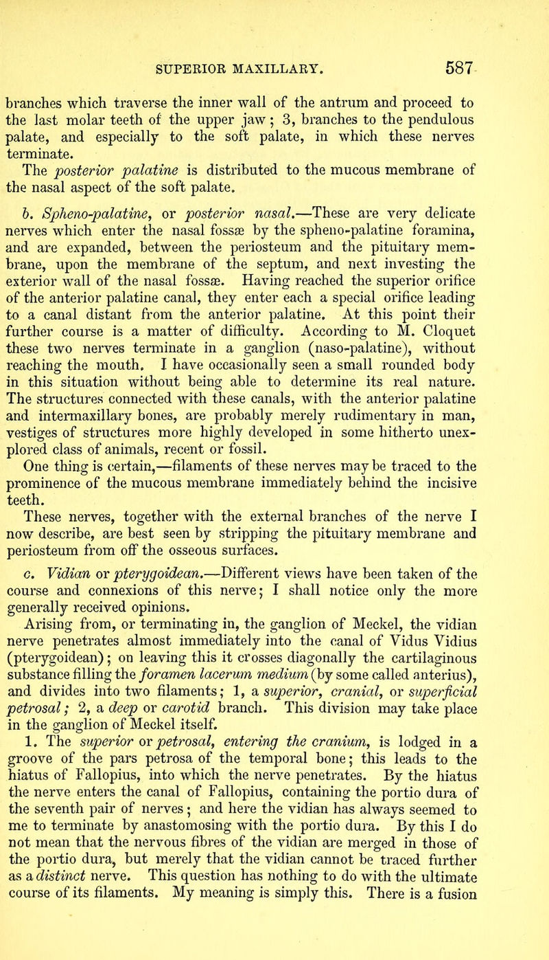 branches which traverse the inner wall of the antrum and proceed to the last molar teeth of the upper jaw ; 3, branches to the pendulous palate, and especially to the soft palate, in which these nerves terminate. The posterior palatine is distributed to the mucous membrane of the nasal aspect of the soft palate. b. Spheno-palatine, or posterior nasal.—These are very delicate nerves which enter the nasal fossae by the spheno-palatine foramina, and are expanded, between the periosteum and the pituitary mem- brane, upon the membrane of the septum, and next investing the exterior wall of the nasal fossae. Having reached the superior orifice of the anterior palatine canal, they enter each a special orifice leading to a canal distant from the anterior palatine. At this point their further course is a matter of difficulty. According to M. Cloquet these two nerves terminate in a ganglion (naso-palatine), without reaching the mouth. I have occasionally seen a small rounded body in this situation without being able to determine its real nature. The structures connected with these canals, with the anterior palatine and intermaxillary bones, are probably merely rudimentary in man, vestiges of structures more highly developed in some hitherto unex- plored class of animals, recent or fossil. One thing is certain,—filaments of these nerves maybe traced to the prominence of the mucous membrane immediately behind the incisive teeth. These nerves, together with the external branches of the nerve I now describe, are best seen by stripping the pituitary membrane and periosteum from oif the osseous surfaces. g. Vidian or pterygoidean.—Different views have been taken of the course and connexions of this nerve; I shall notice only the more generally received opinions. Arising from, or terminating in, the ganglion of Meckel, the vidian nerve penetrates almost immediately into the canal of Vidus Vidius (pterygoidean); on leaving this it crosses diagonally the cartilaginous substance filling the foramen lacerum medium (by some called anterius), and divides into two filaments; 1, a superior, cranial, or superficial petrosal; 2, a deep or carotid branch. This division may take place in the ganglion of Meckel itself. 1. The superior or petrosal, entering the cranium, is lodged in a groove of the pars petrosa of the temporal bone; this leads to the hiatus of Fallopius, into which the nerve penetrates. By the hiatus the nerve enters the canal of Fallopius, containing the portio dura of the seventh pair of nerves; and here the vidian has always seemed to me to terminate by anastomosing with the portio dura. By this I do not mean that the nervous fibres of the vidian are merged in those of the portio dura, but merely that the vidian cannot be traced further as a distinct nerve. This question has nothing to do with the ultimate course of its filaments. My meaning is simply this. There is a fusion