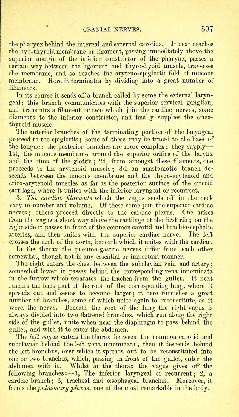 the pharynx behind the internal and external carotids. It next reaches the hyo-thyroid membrane or ligament, passing immediately above the superior margin of the inferior constrictor of the pharynx, passes a certain way between the ligament and thyro-hyoid muscle, traverses the membrane, and so reaches the aryteno-epiglottic fold of mucous membrane. Here it terminates by dividing into a great number of filaments. In its course it sends off a branch called by some the external laryn- geal ; this branch communicates with the superior cervical ganglion, and transmits a filament or two which join the cardiac nerves, some filaments to the inferior constrictor, and finally supplies the crico- thyroid muscle. The anterior branches of the terminating portion of the laryngeal proceed to the epiglottis; some of these may be traced to the base of the tongue : the posterior branches are more complex ; they supply— 1st, the mucous membrane around the superior orifice of the larynx and the rima of the glottis ; 2d, from amongst these filaments, one proceeds to the arytenoid muscle; 3d, an anastomotic branch de- scends between the mucous membrane and the thyro-arytenoid and crico-arytenoid muscles as far as the posterior surface of the cricoid cartilage, where it unites with the inferior laryngeal or recurrent. 3. The cardiac filaments which the vagus sends off in the neck vary in number and volume. Of these some join the superior cardiac nerves; others proceed directly to the cardiac plexus. One arises from the vagus a short way above the cartilage of the first rib ; on the right side it passes in front of the common carotid and brachio-cephalic arteries, and then unites with the superior cardiac nerve. The left crosses the arch of the aorta, beneath which it unites with the cardiac. In the thorax the pneumo-gastric nerves differ from each other somewhat, though not in any essential or important manner. The right enters the chest between the subclavian vein and artery; somewhat lower it passes behind the corresponding vena innominata in the furrow which separates the trachea from the gullet. It next reaches the back part of the root of the corresponding lung, where it spreads out and seems to become larger; it here furnishes a great number of branches, some of which unite again to reconstitute, as it were, the nerve. Beneath the root of the lung the right vagus is always divided into two flattened branches, which run along the right side of the gullet, unite when near the diaphragm to pass behind the gullet, and with it to enter the abdomen. The left vagus enters the thorax between the common carotid and subclavian behind the left vena innominata; then it descends behind the left bronchus, over which it spreads out to be reconstituted into one or two branches, which, passing in front of the gullet, enter the abdomen with it. Whilst in the thorax the vagus gives off the following branches:—1, The inferior laryngeal or recurrent; 2, a cardiac branch; 3, tracheal and oesophageal branches. Moreover, it forms the pulmonary plexus, one of the most remarkable in the body.