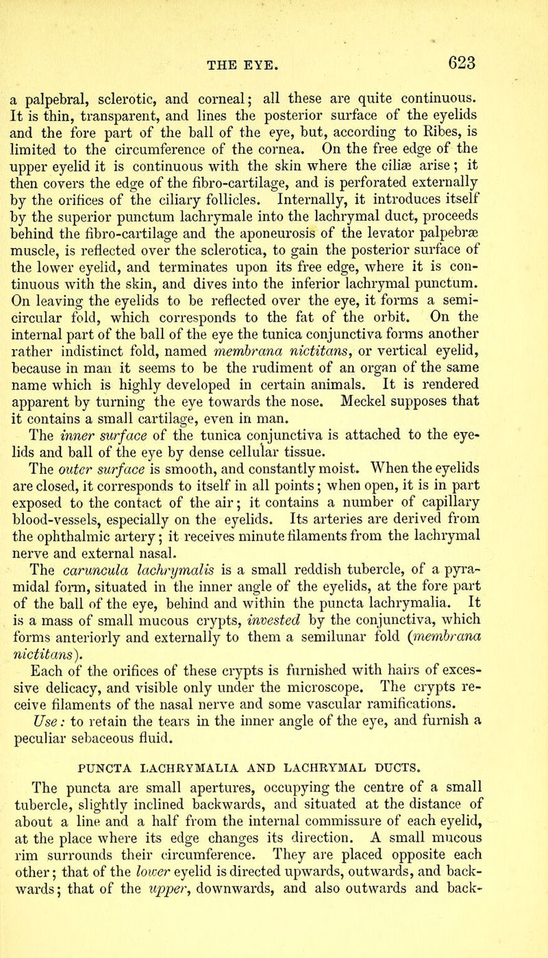 a palpebral, sclerotic, and corneal; all these are quite continuous. It is thin, transparent, and lines the posterior surface of the eyelids and the fore part of the hall of the eye, hut, according to Ribes, is limited to the circumference of the cornea. On the free edge of the upper eyelid it is continuous with the skin where the cilise arise; it then covers the edge of the fibro-cartilage, and is perforated externally by the orifices of the ciliary follicles. Internally, it introduces itself by the superior punctum lachrymale into the lachrymal duct, proceeds behind the fibro-cartilage and the aponeurosis of the levator palpebrae muscle, is reflected over the sclerotica, to gain the posterior surface of the lower eyelid, and terminates upon its free edge, where it is con- tinuous with the skin, and dives into the inferior lachrymal punctum. On leaving the eyelids to be reflected over the eye, it forms a semi- circular fold, which corresponds to the fat of the orbit. On the internal part of the ball of the eye the tunica conjunctiva forms another rather indistinct fold, named membrana nictitans, or vertical eyelid, because in man it seems to be the rudiment of an organ of the same name which is highly developed in certain animals. It is rendered apparent by turning the eye towards the nose. Meckel supposes that it contains a small cartilage, even in man. The inner surface of the tunica conjunctiva is attached to the eye- lids and ball of the eye by dense cellular tissue. The outer surface is smooth, and constantly moist. When the eyelids are closed, it corresponds to itself in all points; when open, it is in part exposed to the contact of the air; it contains a number of capillary blood-vessels, especially on the eyelids. Its arteries are derived from the ophthalmic artery; it receives minute filaments from the lachrymal nerve and external nasal. The caruncula lachrymalis is a small reddish tubercle, of a pyra- midal form, situated in the inner angle of the eyelids, at the fore part of the ball of the eye, behind and within the puncta lachrymalia. It is a mass of small mucous crypts, invested by the conjunctiva, which forms anteriorly and externally to them a semilunar fold (membrana nictitans). Each of the orifices of these crypts is furnished with hairs of exces- sive delicacy, and visible only under the microscope. The crypts re- ceive filaments of the nasal nerve and some vascular ramifications. Use: to retain the tears in the inner angle of the eye, and furnish a peculiar sebaceous fluid. PUNCTA LACHRYMALIA AND LACHRYMAL DUCTS. The puncta are small apertures, occupying the centre of a small tubercle, slightly inclined backwards, and situated at the distance of about a line and a half from the internal commissure of each eyelid, at the place where its edge changes its direction. A small mucous rim surrounds their circumference. They are placed opposite each other; that of the lower eyelid is directed upwards, outwards, and back- wards; that of the upper, downwards, and also outwards and back-