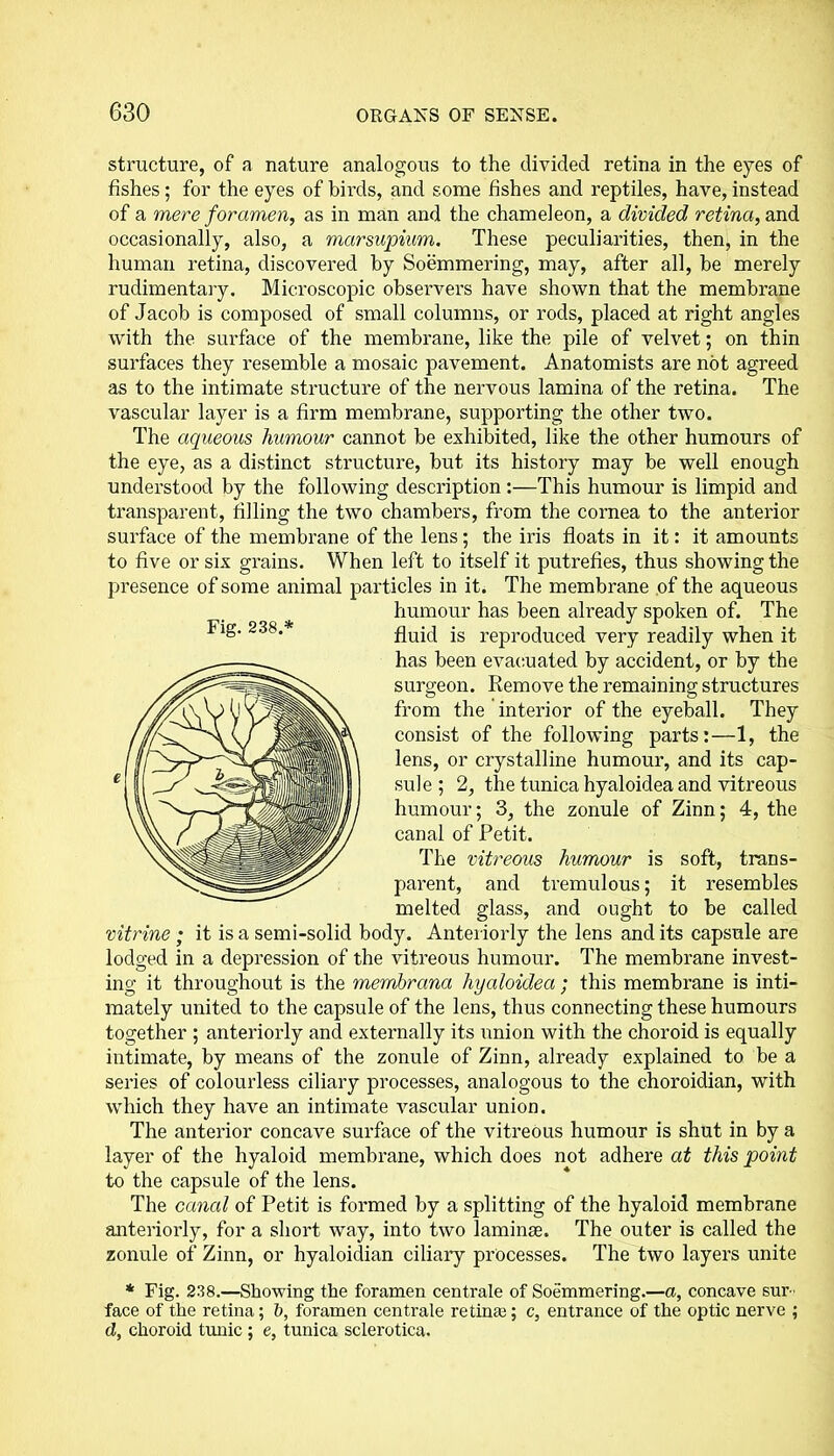 structure, of a nature analogous to the divided retina in the eyes of fishes; for the eyes of birds, and some fishes and reptiles, have, instead of a mere foramen, as in man and the chameleon, a divided retina, and occasionally, also, a marsupium. These peculiarities, then, in the human retina, discovered by Soemmering, may, after all, be merely rudimentary. Microscopic observers have shown that the membrane of Jacob is composed of small columns, or rods, placed at right angles with the surface of the membrane, like the pile of velvet; on thin surfaces they resemble a mosaic pavement. Anatomists are not agreed as to the intimate structure of the nervous lamina of the retina. The vascular layer is a firm membrane, supporting the other two. The aqueous humour cannot be exhibited, like the other humours of the eye, as a distinct structure, but its history may be well enough understood by the following description:—This humour is limpid and transparent, filling the two chambers, from the cornea to the anterior surface of the membrane of the lens; the iris floats in it: it amounts to five or six grains. When left to itself it putrefies, thus showing the presence of some animal particles in it. The membrane of the aqueous humour has been already spoken of. The fluid is reproduced very readily when it has been evacuated by accident, or by the surgeon. Remove the remaining structures from the interior of the eyeball. They consist of the following parts:—1, the lens, or crystalline humour, and its cap- sule ; 2, the tunica hyaloidea and vitreous humour; 3, the zonule of Zinn; 4, the canal of Petit. The vitreous humour is soft, trans- parent, and tremulous; it resembles melted glass, and ought to be called vitrine ; it is a semi-solid body. Anteriorly the lens and its capsule are lodged in a depression of the vitreous humour. The membrane invest- ing it throughout is the membrana hyaloidea; this membrane is inti- mately united to the capsule of the lens, thus connecting these humours together ; anteriorly and externally its union with the choroid is equally intimate, by means of the zonule of Zinn, already explained to be a series of colourless ciliary processes, analogous to the choroidian, with which they have an intimate vascular union. The anterior concave surface of the vitreous humour is shut in by a layer of the hyaloid membrane, which does not adhere at this point to the capsule of the lens. The canal of Petit is formed by a splitting of the hyaloid membrane anteriorly, for a short way, into two laminae. The outer is called the zonule of Zinn, or hyaloidian ciliary processes. The two layers unite * Fig. 238.—Showing the foramen centrale of Soemmering.—a, concave sur - face of the retina; l>, foramen centrale retinas; c, entrance of the optic nerve ; d, choroid tunic ; e, tunica sclerotica. Fig. 2.38.*