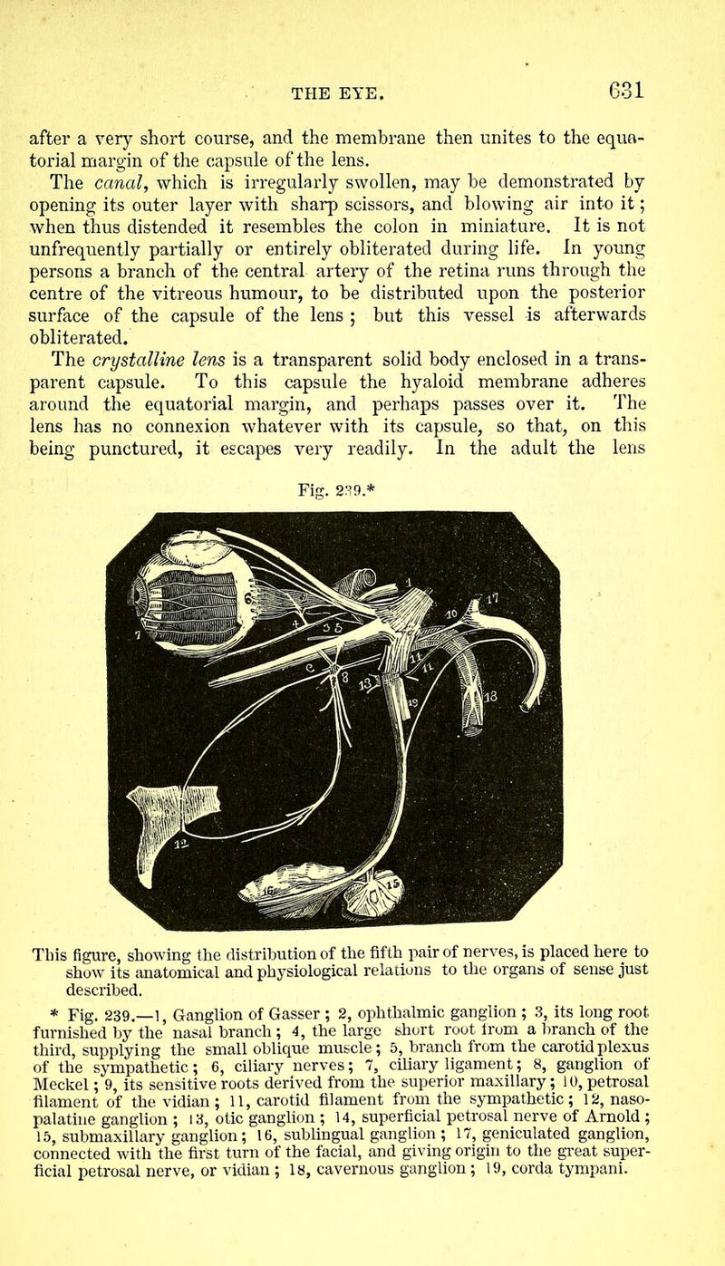 after a very short course, and the membrane then unites to the equa- torial margin of the capsule of the lens. The canal, which is irregularly swollen, may be demonstrated by opening its outer layer with sharp scissors, and blowing air into it; when thus distended it resembles the colon in miniature. It is not unfrequently partially or entirely obliterated during life. In young persons a branch of the central artery of the retina runs through the centre of the vitreous humour, to be distributed upon the posterior surface of the capsule of the lens ; but this vessel is afterwards obliterated. The crystalline lens is a transparent solid body enclosed in a trans- parent capsule. To this capsule the hyaloid membrane adheres around the equatorial margin, and perhaps passes over it. The lens has no connexion whatever with its capsule, so that, on this being punctured, it escapes very readily. In the adult the lens This figure, showing the distribution of the fifth pair of nerves, is placed here to show its anatomical and physiological relations to the organs of sense just described. * Fig. 239.—1, Ganglion of Gasser ; 2, ophthalmic ganglion ; 3, its long root furnished by the nasal branch ; 4, the large short root from a branch of the third, supplying the small oblique muscle; 5, branch from the carotid plexus of the sympathetic; 6, ciliary nerves; 7, ciliary ligament; 8, ganglion of Meckel; 9, its sensitive roots derived from the superior maxillary; 10, petrosal filament of the vidian; 11, carotid filament from the sympathetic; 12, naso- palatine ganglion ; 13, otic ganglion ; 14, superficial petrosal nerve of Arnold ; 15, submaxillary ganglion; 16, sublingual ganglion ; 17, geniculated ganglion, connected with the first turn of the facial, and giving origin to the great super- ficial petrosal nerve, or vidian ; 18, cavernous ganglion ; 19, corda tympani.