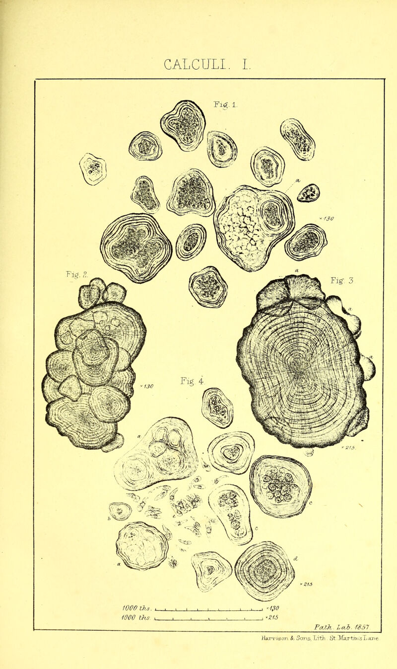 CALCULI. I Harrison. & Sans, Xith. St.Martm'sX sene.