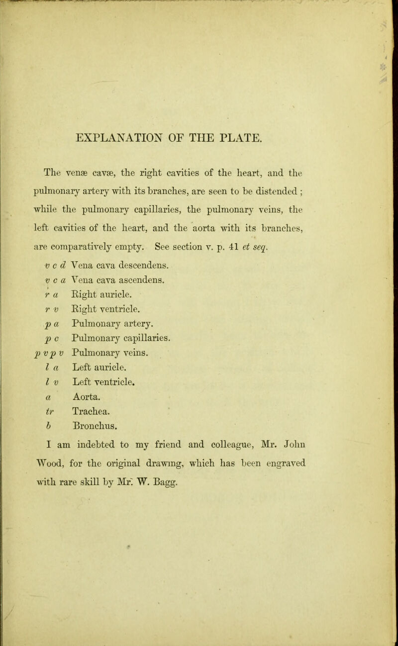 EXPLANATION OF THE PLATE. The venae cavae, the right cavities of the heart, and the pulmonary artery with its branches, are seen to be distended ; while the pulmonary capillaries, the pulmonary veins, the left cavities of the heart, and the aorta with its branches, are comparatively empty. See section v. p. 41 et seq. ■v c d Vena cava descendens. V c a Vena cava ascendens. r a Eight auricle. r v Right ventricle. p a Pulmonary artery. p c Pulmonary capillaries. pvpv Pulmonary veins. I a Left auricle. I v Left ventricle. a Aorta. tr Trachea. h Bronchus. I am indebted to my friend and colleague, Mr. John Wood, for the original drawing, which has been engraved with rare skill by Mri W. Bagg.