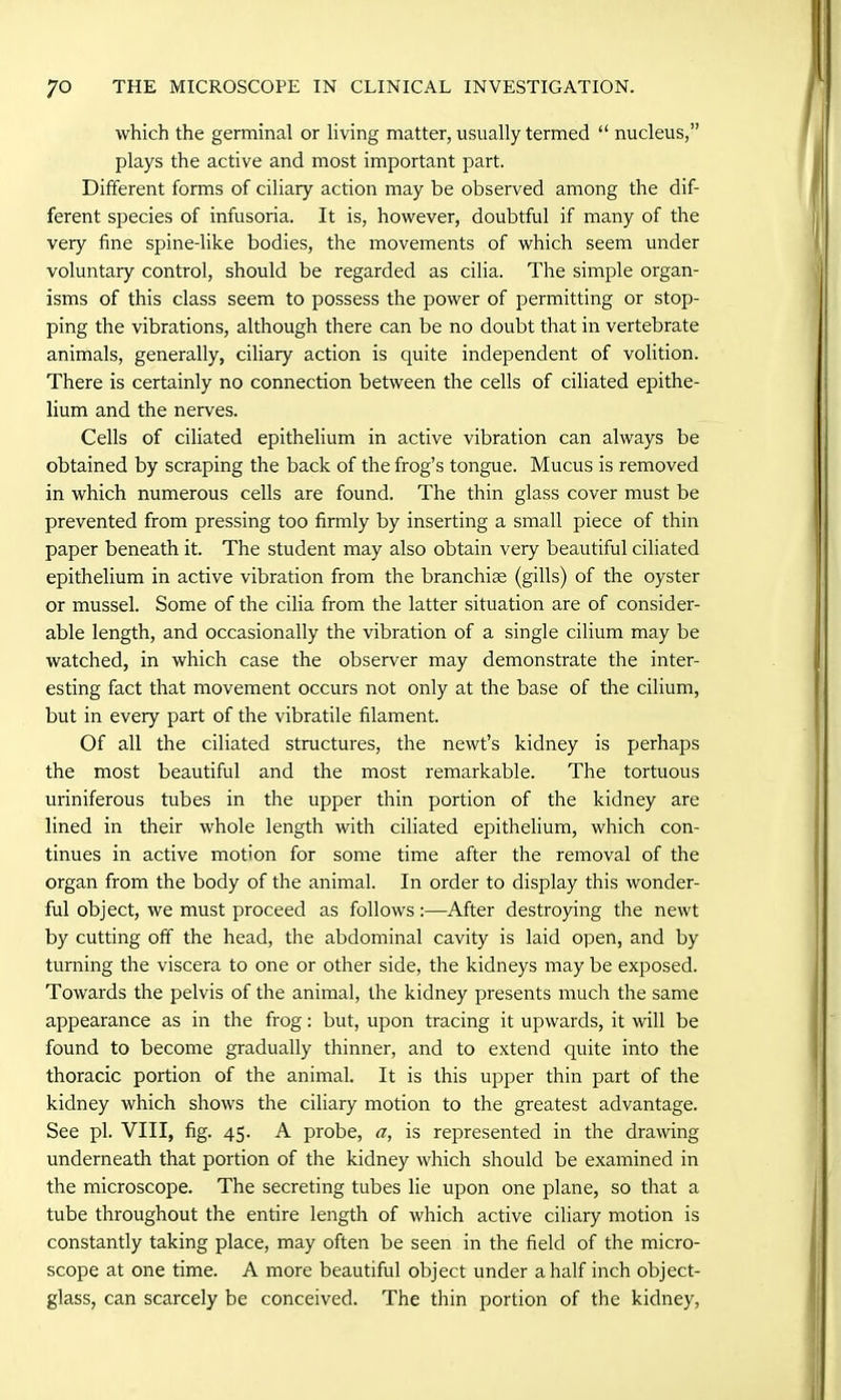 which the germinal or living matter, usually termed “ nucleus,” plays the active and most important part. Different forms of ciliary action may be observed among the dif- ferent species of infusoria. It is, however, doubtful if many of the very fine spine-like bodies, the movements of which seem under voluntary control, should be regarded as cilia. The simple organ- isms of this class seem to possess the power of permitting or stop- ping the vibrations, although there can be no doubt that in vertebrate animals, generally, ciliary action is quite independent of volition. There is certainly no connection between the cells of ciliated epithe- lium and the nerves. Cells of ciliated epithelium in active vibration can always be obtained by scraping the back of the frog’s tongue. Mucus is removed in which numerous cells are found. The thin glass cover must be prevented from pressing too firmly by inserting a small piece of thin paper beneath it. The student may also obtain very beautiful ciliated epithelium in active vibration from the branchiae (gills) of the oyster or mussel. Some of the cilia from the latter situation are of consider- able length, and occasionally the vibration of a single cilium may be watched, in which case the observer may demonstrate the inter- esting fact that movement occurs not only at the base of the cilium, but in every part of the vibratile filament. Of all the ciliated structures, the newt’s kidney is perhaps the most beautiful and the most remarkable. The tortuous uriniferous tubes in the upper thin portion of the kidney are lined in their whole length with ciliated epithelium, which con- tinues in active motion for some time after the removal of the organ from the body of the animal. In order to display this wonder- ful object, we must proceed as follows:—After destroying the newt by cutting off the head, the abdominal cavity is laid open, and by turning the viscera to one or other side, the kidneys may be exposed. Towards the pelvis of the animal, the kidney presents much the same appearance as in the frog: but, upon tracing it upwards, it will be found to become gradually thinner, and to extend quite into the thoracic portion of the animal. It is this upper thin part of the kidney which shows the ciliary motion to the greatest advantage. See pi. VIII, fig. 45. A probe, a, is represented in the drawing underneath that portion of the kidney which should be examined in the microscope. The secreting tubes lie upon one plane, so that a tube throughout the entire length of which active ciliary motion is constantly taking place, may often be seen in the field of the micro- scope at one time. A more beautiful object under a half inch object- glass, can scarcely be conceived. The thin portion of the kidney,