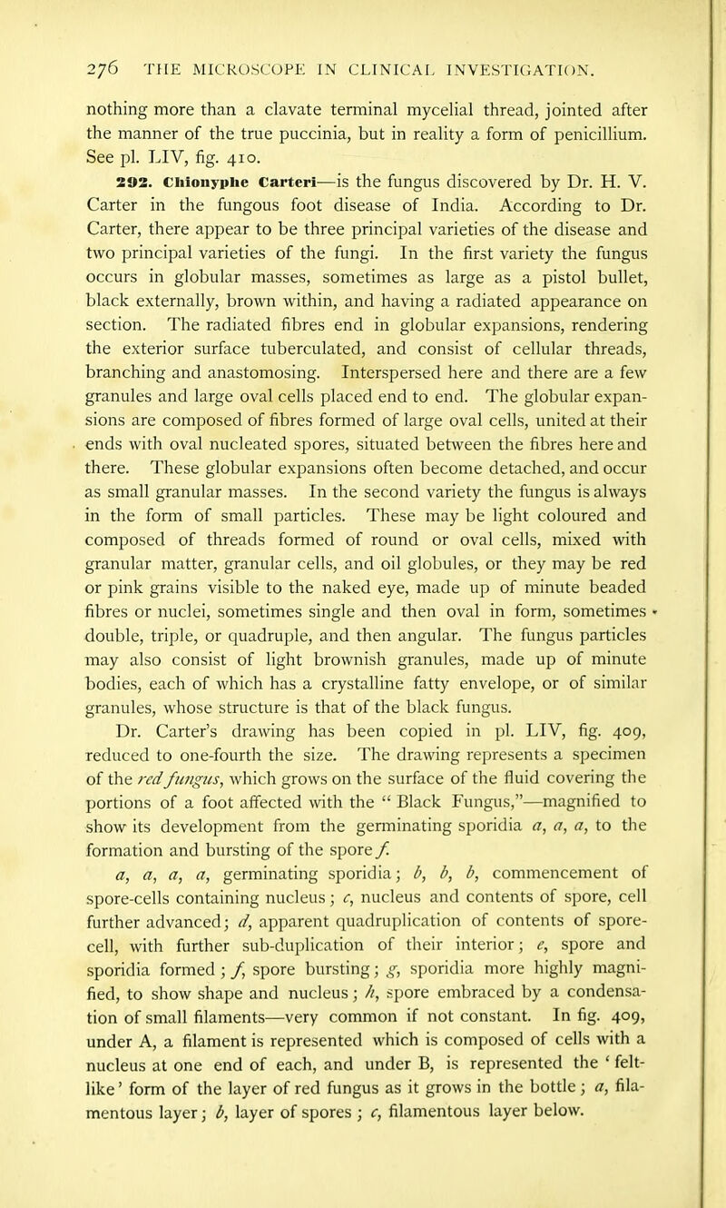 nothing more than a clavate terminal mycelial thread, jointed after the manner of the true puccinia, but in reality a form of penicillium. See pi. LIV, fig. 410. 292. Chfonypiie Carteri—is the fungus discovered by Dr. H. V. Carter in the fungous foot disease of India. According to Dr. Carter, there appear to be three principal varieties of the disease and two principal varieties of the fungi. In the first variety the fungus occurs in globular masses, sometimes as large as a pistol bullet, black externally, brown within, and having a radiated appearance on section. The radiated fibres end in globular expansions, rendering the exterior surface tuberculated, and consist of cellular threads, branching and anastomosing. Interspersed here and there are a few granules and large oval cells placed end to end. The globular expan- sions are composed of fibres formed of large oval cells, united at their ends with oval nucleated spores, situated between the fibres here and there. These globular exjransions often become detached, and occur as small granular masses. In the second variety the fungus is always in the form of small particles. These may be light coloured and composed of threads formed of round or oval cells, mixed with granular matter, granular cells, and oil globules, or they may be red or pink grains visible to the naked eye, made up of minute beaded fibres or nuclei, sometimes single and then oval in form, sometimes • double, triple, or quadruple, and then angular. The fungus particles may also consist of light brownish granules, made up of minute bodies, each of which has a crystalline fatty envelope, or of similar granules, whose structure is that of the black fungus. Dr. Carter’s drawing has been copied in pi. LIV, fig. 409, reduced to one-fourth the size. The drawing represents a specimen of the red fungus, which grows on the surface of the fluid covering the portions of a foot affected with the “ Black Fungus,”—magnified to show its development from the germinating sporidia a, a, a, to the formation and bursting of the spore f. a, a, a, a, germinating sporidia; b, b, b, commencement of spore-cells containing nucleus; c, nucleus and contents of spore, cell further advanced; d, apparent quadruplicate of contents of spore- cell, with further sub-duplication of their interior; e, spore and sporidia formed ; f spore bursting; g, sporidia more highly magni- fied, to show shape and nucleus; //, spore embraced by a condensa- tion of small filaments—very common if not constant. In fig. 409, under A, a filament is represented which is composed of cells with a nucleus at one end of each, and under B, is represented the ‘ felt- like ’ form of the layer of red fungus as it grows in the bottle; a, fila- mentous layer; b, layer of spores ; c, filamentous layer below.