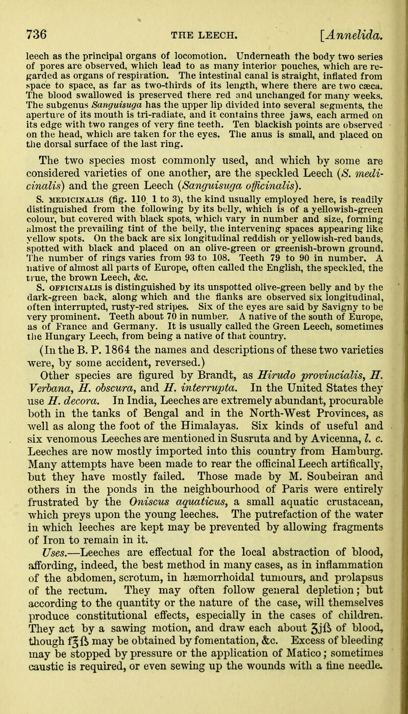 leech as the principal organs of locomotion. Underneath the body two series of pores are observed, which lead to as many interior pouches, which are re- garded as organs of respiration. The intestinal canal is straight, inflated from space to space, as far as two-thirds of its length, where there are two caeca. The blood swallowed is preserved there red and unchanged for many weeks. The subgenus Sanguisuga has the upper lip divided into several segments, the aperture of its mouth is tri-radiate, and it contains three jaws, each armed on its edge with two ranges of very fine teeth. Ten blackish points are observed on the head, whicli are taken for the eyes. The anus is small, and placed on the dorsal surface of the last ring. The two species most commonly used, and which by some are considered varieties of one another, are the speckled Leech (S. medi- cinalis) and the green Leech (Sanguisuga officinalis). S. medicinalis (fig. 110 1 to 3), the kind usually employed here, is readily distinguished from the following by its belly, which is of a yellowish-green colour, but covered with black spots, which vary in number and size, forming almost the prevailing tint of the belly, the intervening spaces appearing like yellow spots. On the back are six longitudinal reddish or yellowish-red bands, spotted with black and placed on an olive-green or greenish-brown ground. The number of rings varies from 93 to 108. Teeth 79 to 90 in number. A native of almost all parts of Europe, often called the English, the speckled, the true, the brown Leech, <fcc. S. officinalis is distinguished by its unspotted olive-green belly and by the dark-green back, along which and the flanks are observed six longitudinal, often interrupted, rusty-red stripes. Six of the eyes are said by Savigny to be very prominent. Teeth about 70 in number. A native of the south of Europe, as of France and Germany. It is usually called the Green Leech, sometimes the Hungary Leech, from being a native of that country. (In the B. P. 1864 the names and descriptions of these two varieties were, by some accident, reversed.) Other species are figured by Brandt, as Hirudo provincialis, H. Verbana, H. obscura, and H. interrupta. In the United States they use H. decora. In India, Leeches are extremely abundant, procurable both in the tanks of Bengal and in the North-West Provinces, as well as along the foot of the Himalayas. Six kinds of useful and six venomous Leeches are mentioned in Susruta and by Avicenna, l. c. Leeches are now mostly imported into this country from Hamburg. Many attempts have been made to rear the officinal Leech artifically, but they have mostly failed. Those made by M. Soubeiran and others in the ponds in the neighbourhood of Paris were entirely frustrated by the Oniscus aquaticus, a small aquatic crustacean, which preys upon the young leeches. The putrefaction of the water in which leeches are kept may be prevented by allowing fragments of Iron to remain in it. Uses.—Leeches are effectual for the local abstraction of blood, affording, indeed, the best method in many cases, as in inflammation of the abdomen, scrotum, in hsemorrhoidal tumours, and prolapsus of the rectum. They may often follow general depletion; but according to the quantity or the nature of the case, will themselves produce constitutional effects, especially in the cases of children. They act by a sawing motion, and draw each about 3jfi> of blood, though f^ft may be obtained by fomentation, &c. Excess of bleeding may be stopped by pressure or the application of Matico; sometimes caustic is required, or even sewing up the wounds with a fine needle.