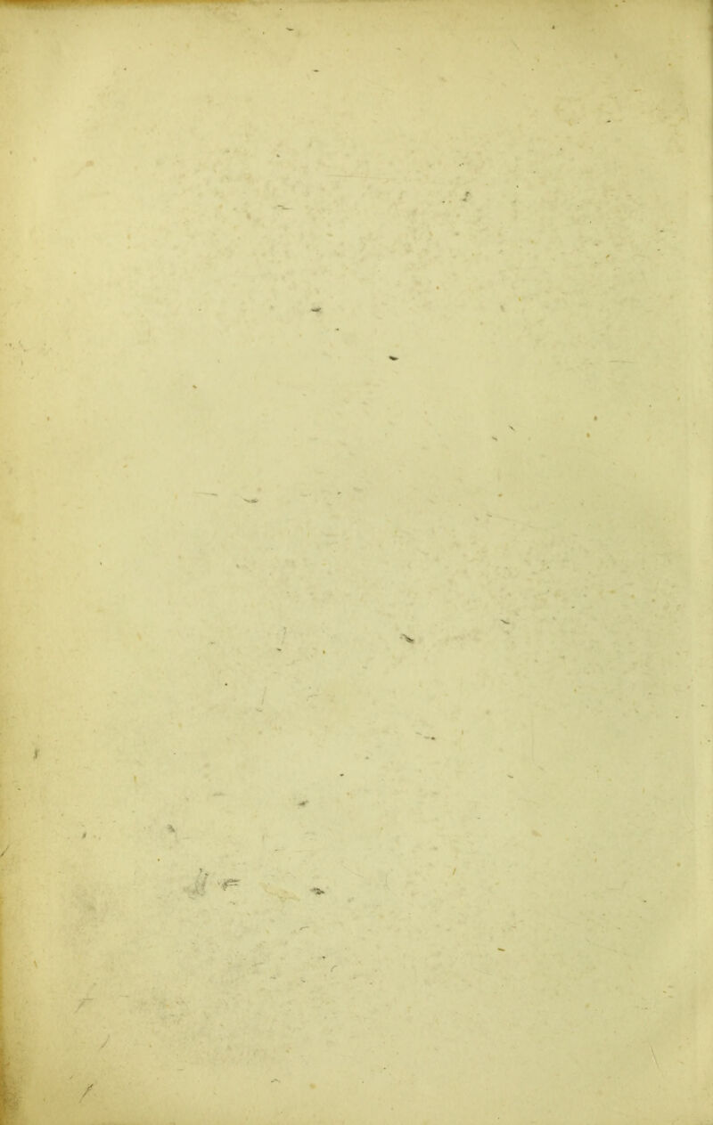 \ «. • ■■X ■> i i yx \ ! ■ -1 ■ f / » •,«> -a