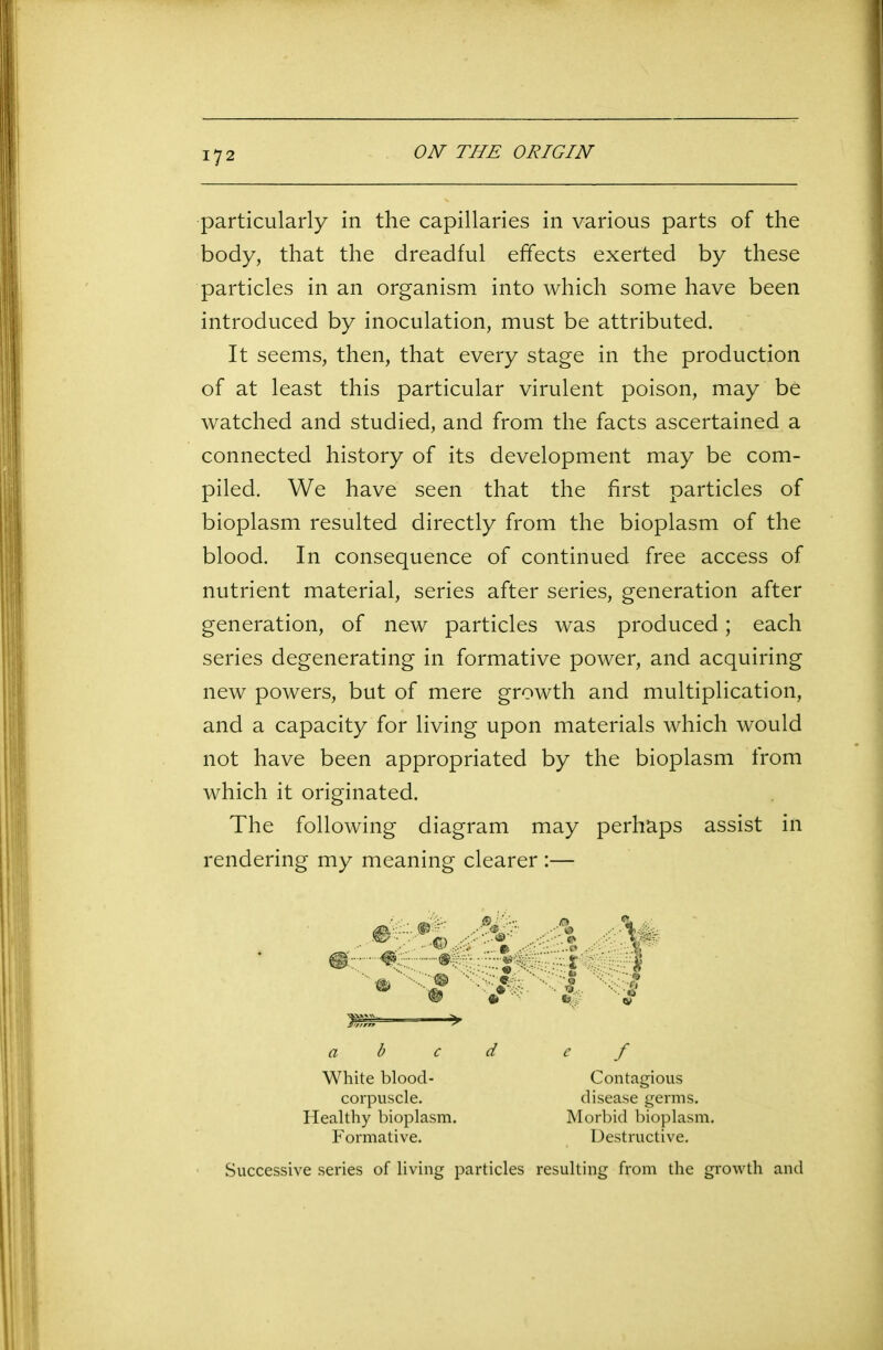 particularly in the capillaries in various parts of the body, that the dreadful effects exerted by these particles in an organism into which some have been introduced by inoculation, must be attributed. It seems, then, that every stage in the production of at least this particular virulent poison, may be watched and studied, and from the facts ascertained a connected history of its development may be com- piled. We have seen that the first particles of bioplasm resulted directly from the bioplasm of the blood. In consequence of continued free access of nutrient material, series after series, generation after generation, of new particles was produced; each series degenerating in formative power, and acquiring new powers, but of mere growth and multiplication, and a capacity for living upon materials which would not have been appropriated by the bioplasm from which it originated. The following diagram may perhaps assist in rendering my meaning clearer :— a b c White blood- corpuscle. Healthy bioplasm. F ormati ve. d e f Contagious disease germs. Morbid bioplasm. Destructive. Successive series of living particles resulting from the growth and