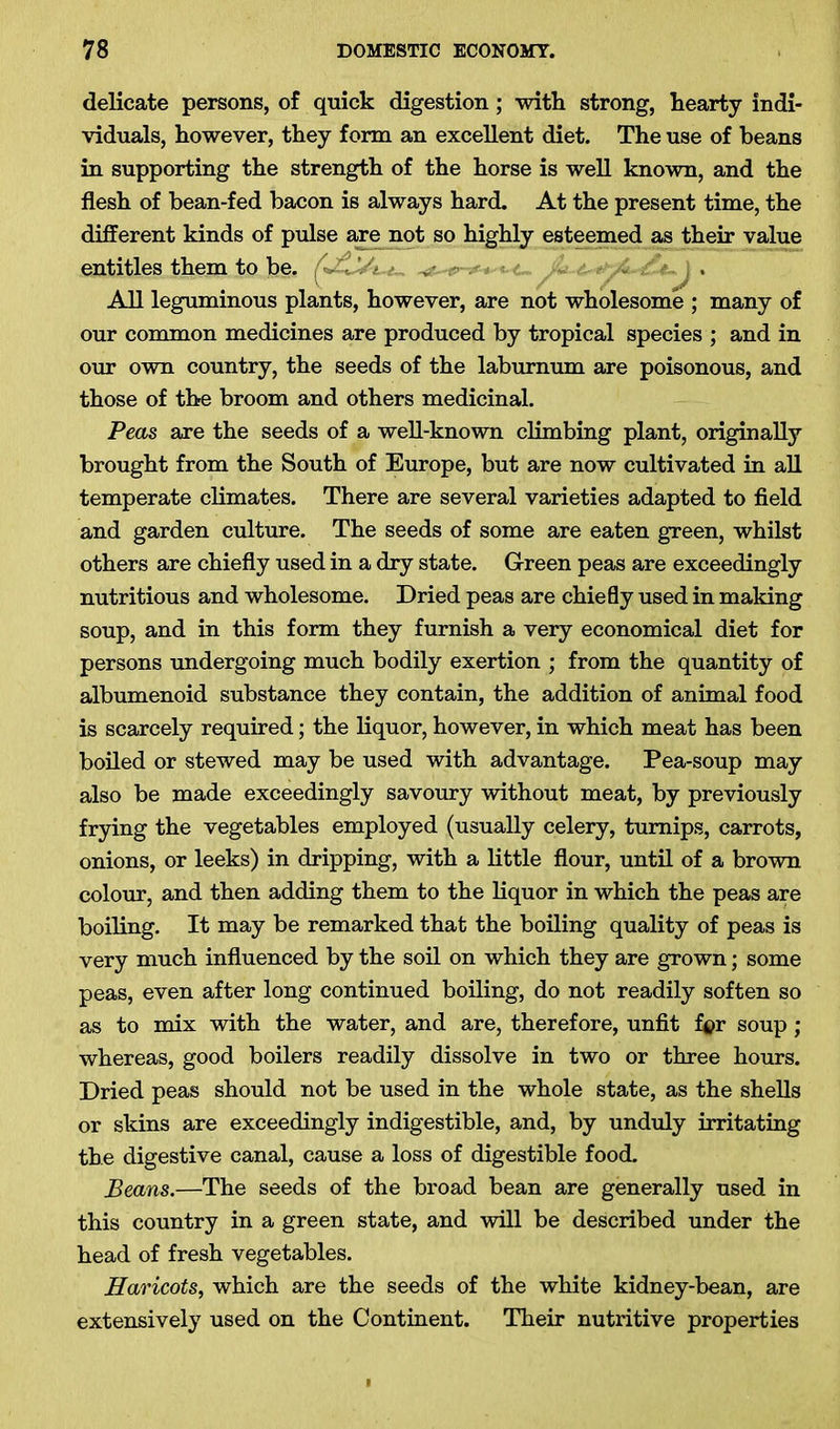 delicate persons, of quick digestion; with strong, hearty indi- viduals, however, they form an excellent diet. The use of beans in supporting the strength of the horse is well known, and the flesh of bean-fed bacon is always hard. At the present time, the different kinds of pulse are not so highly esteemed as their value entitles them to be, , All leguminous plants, however, are not wholesome ; many of our common medicines are produced by tropical species ; and in our own country, the seeds of the laburnum are poisonous, and those of the broom and others medicinal. Peas are the seeds of a well-known climbing plant, originally brought from the South of Europe, but are now cultivated in all temperate climates. There are several varieties adapted to field and garden culture. The seeds of some are eaten green, whilst others are chiefly used in a dry state. Green peas are exceedingly nutritious and wholesome. Dried peas are chiefly used in making soup, and in this form they furnish a very economical diet for persons undergoing much bodily exertion ; from the quantity of albumenoid substance they contain, the addition of animal food is scarcely required; the liquor, however, in which meat has been boiled or stewed may be used with advantage. Pea-soup may also be made exceedingly savoury without meat, by previously frying the vegetables employed (usually celery, turnips, carrots, onions, or leeks) in dripping, with a little flour, until of a brown colour, and then adding them to the liquor in which the peas are boiling. It may be remarked that the boiling quality of peas is very much influenced by the soil on which they are grown; some peas, even after long continued boiling, do not readily soften so as to mix with the water, and are, therefore, unfit for soup; whereas, good boilers readily dissolve in two or three hours. Dried peas should not be used in the whole state, as the shells or skins are exceedingly indigestible, and, by unduly irritating the digestive canal, cause a loss of digestible food. Beans.—The seeds of the broad bean are generally used in this country in a green state, and will be described under the head of fresh vegetables. Haricots, which are the seeds of the white kidney-bean, are extensively used on the Continent. Their nutritive properties