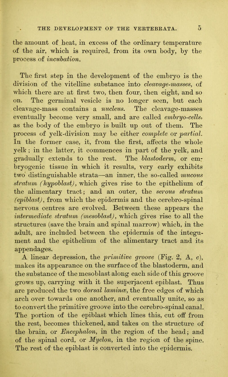 the amount of heat, in excess of the ordinary temperature of the air, which is required, from its own body, by the process of incubation. The first step in the development of the embryo is the division of the vitelline substance into cleavage-masses, of which there are at first two, then four, then eight, and so on. The germinal vesicle is no longer seen, but each cleavage-mass contains a nucleus. The cleavage-masses eventually become very small, and are called embryo-cells, as the body of the embryo is built up out of them. The process of yelk-division may be either complete or partial. In the former case, it, from the first, affects the whole yelk; in the latter, it commences in part of the yelk, and gradually extends to the rest. The blastoderm, or em- bryogenic tissue in which it results, very early exhibits two' distinguishable strata—an inner, the so-called mucous stratum (hypoblast), which gives rise to the epithelium of the alimentary tract; and an outer, the serous stratum (epiblast), from which the epidermis and the cerebro-spinal nervous centres are evolved. Between these appears the intermediate stratum (mesoblast), which gives rise to all the structures (save the brain and spinal marrow) which, in the adult, are included between the epidermis of the integu- ment and the epithelium of the alimentary tract and its appendages. A linear depression, the primitive groove (Fig. 2, A, c), makes its appearance on the surface of the blastoderm, and the substance of the mesoblast along each side of this groove grows up, carrying with it the superjacent epiblast. Thus are produced the two dorsal laminae, the free edges of which arch over towards one another, and eventually unite, so as to convert the primitive groove into the cerebro-spinal canal. The portion of the epiblast which lines this, cut off from the rest, becomes thickened, and takes on the structure of the brain, or Encephalon, in the region of the head; and of the spinal cord, or Myelon, in the region of the spine. The rest of the epiblast is converted into the epidermis.