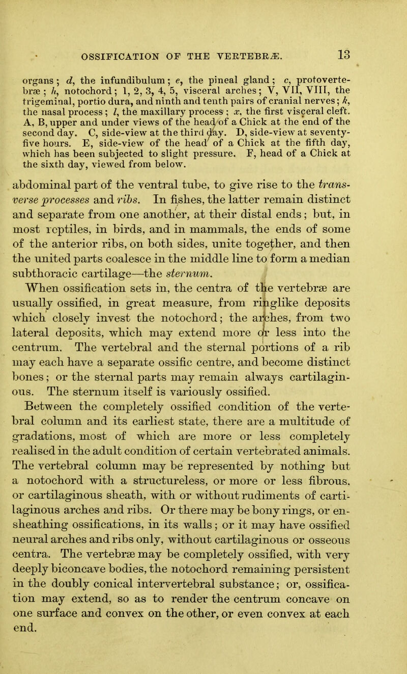 organs ; d, the infundibulum; <?, the pineal gland; c, protoverte- brae ; /«, notochord; 1, 2, 3, 4, 5, visceral arches; V, VII, VIII, the trigeminal, portio dura, and ninth and tenth pairs of cranial nerves; k, the nasal process; l, the maxillary process ; x, the first visceral cleft. A, B, upper and under views of the head'of a Chick at the end of the second day. C, side-view at the third day. D, side-view at seventy- five hours. E, side-view of the heaa of a Chick at the fifth day, which has been subjected to slight pressure. F, head of a Chick at the sixth day, viewed from below. abdominal part of the ventral tube, to give rise to tbe trans- verse processes and ribs. In fishes, tbe latter remain distinct and separate from one another, at their distal ends; bnt, in most reptiles, in birds, and in mammals, the ends of some of the anterior ribs, on both sides, nnite together, and then the united parts coalesce in the middle line to form a median snbthoracic cartilage—the sternum. When ossification sets in, the centra of the vertebrae are usually ossified, in great measure, from ripglike deposits which closely invest the notochord; the aifches, from two lateral deposits, which may extend more cjr less into the centrum. The vertebral and the sternal portions of a rib may each have a separate ossific centre, and become distinct bones; or the sternal parts may remain always cartilagin- ous. The sternum itself is variously ossified. Between the completely ossified condition of the verte- bral column and its earliest state, there are a multitude of gradations, most of which are more or less completely realised in the adult condition of certain vertebrated animals. The vertebral column may be represented by nothing but a notochord with a structureless, or more or less fibrous, or cartilaginous sheath, with or without rudiments of carti- laginous arches a?id ribs. Or there may be bony rings, or en- sheathing ossifications, in its walls; or it may have ossified neural arches and ribs only, without cartilaginous or osseous centra. The vertebrae may be completely ossified, with very deeply biconcave bodies, the notochord remaining persistent in the doubly conical intervertebral substance; or, ossifica- tion may extend, so as to render the centrum concave on one surface and convex on the other, or even convex at each end.