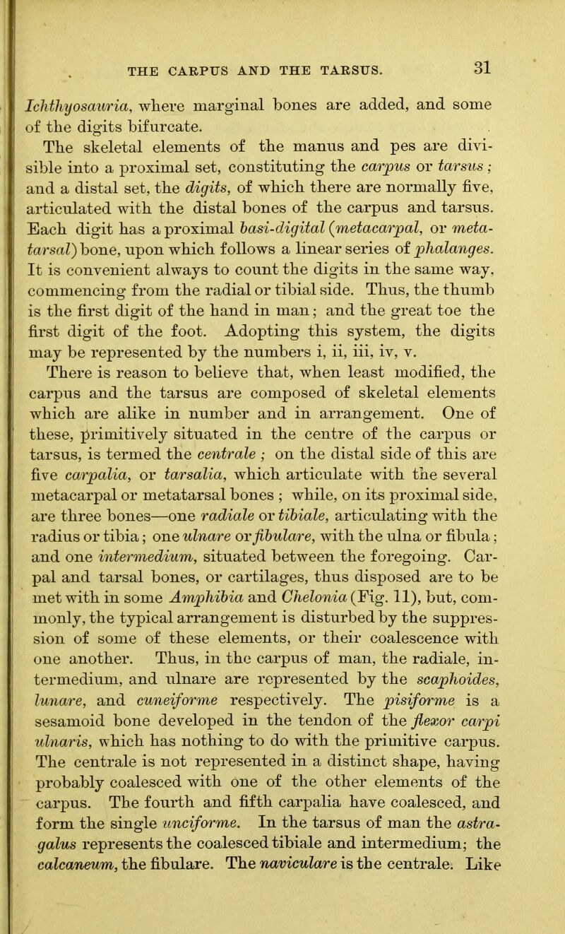 THE CARPUS AND THE TARSUS. Ichthyosauiria, where marginal bones are added, and some of the digits bifurcate. The skeletal elements of the manus and pes are divi- sible into a proximal set, constituting the carpus or tarsus; and a distal set, the digits, of which there are normally five, articulated with the distal bones of the carpus and tarsus. Each digit has a proximal basi-digital (metacarpal, or meta- tarsal) bone, upon which follows a linear series of phalanges. It is convenient always to count the digits in the same way, commencing from the radial or tibial side. Thus, the thumb is the first digit of the hand in man; and the great toe the first digit of the foot. Adopting this system, the digits may be represented by the numbers i, ii, iii, iv, v. There is reason to believe that, when least modified, the carpus and the tarsus are composed of skeletal elements which are alike in number and in arrangement. One of these, primitively situated in the centre of the carpus or tarsus, is termed the centrale ; on the distal side of this are five carpalia, or tarsalia, which articulate with the several metacarpal or metatarsal bones ; while, on its proximal side, are three bones—one radiale or tibiale, articulating with the radius or tibia; one ulnare or fibulare, with the ulna or fibula; and one intermedium, situated between the foregoing. Car- pal and tarsal bones, or cartilages, thus disposed are to be met with in some Amphibia and Chelonia (Fig. 11), but, com- monly, the typical arrangement is disturbed by the suppres- sion of some of these elements, or their coalescence with one another. Thus, in the carpus of man, the radiale, in- termedium, and ulnare are represented by the scaphoides, lunare, and cuneiforme respectively. The pisiforme is a sesamoid bone developed in the tendon of the flexor carpi ulnaris, which has nothing to do with the primitive carpus. The centrale is not represented in a distinct shape, having probably coalesced with one of the other elements of the carpus. The fourth and fifth carpalia have coalesced, and form the single unciforme. In the tarsus of man the astra- galus represents the coalesced tibiale and intermedium; the calcaneum, the fibulare. The naviculare is the centrale. Like