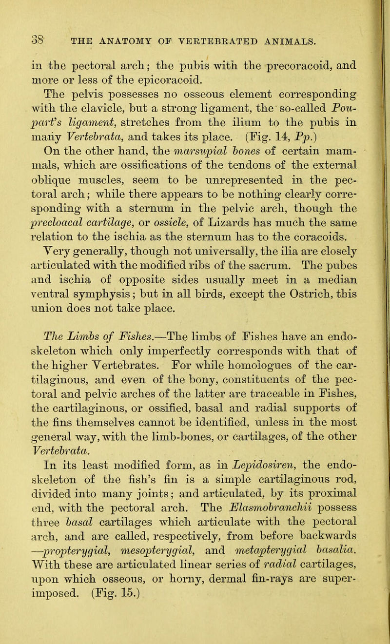 in the pectoral arch; the pubis with the precoracoid, and more or less of the epicoracoid. The pelvis possesses no osseous element corresponding with the clavicle, but a strong ligament, the' so-called Pou- parfs ligament, stretches from the ilium to the pubis in many Vertebrata, and takes its place. (Fig. 14, Pp.) On the other hand, the marsupial bones of certain mam- mals, which are ossifications of the tendons of the external oblique muscles, seem to be unrepresented in the pec- toral arch; while there appears to be nothing clearly corre- sponding with a sternum in the pelvic arch, though the precloacal cartilage, or ossicle, of Lizards has much the same relation to the ischia as the sternum has to the coracoids. Yery generally, though not universally, the ilia are closely articulated with the modified ribs of the sacrum. The pubes and ischia of opposite sides usually meet in a median ventral symphysis; but in all birds, except the Ostrich, this union does not take place. The Limbs of Fishes.—The limbs of Fishes have an endo- skeleton which only imperfectly corresponds with that of the higher Yertebrates. For while homoiogues of the car- tilaginous, and even of the bony, constituents of the pec- toral and pelvic arches of the latter are traceable in Fishes, the cartilaginous, or ossified, basal and radial supports of the fins themselves cannot be identified, unless in the most general way, with the limb-bones, or cartilages, of the other Vertebrata. In its least modified form, as in Lepidosiren, the endo- skeleton of the fish’s fin is a simple cartilaginous rod, divided into many joints; and articulated, by its proximal end, with the pectoral arch. The Elasmobranchii possess three basal cartilages which articulate with the pectoral arch, and are called, respectively, from before backwards —propterygial, mesopterygial, and metapterygial basalia. With these are articulated linear series of radial cartilages, upon which osseous, or horny, dermal fin-rays are super- imposed. (Fig. 15.)