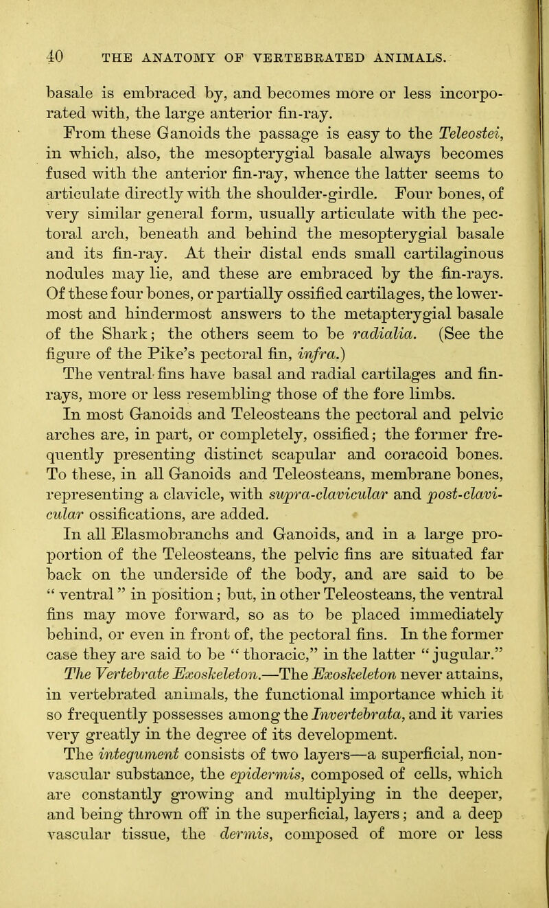 basale is embraced by, and becomes more or less incorpo- rated with, the large anterior fin-ray. From these Ganoids the passage is easy to the Teleostei, in which, also, the mesopterygial basale always becomes fused with the anterior fin-ray, whence the latter seems to articulate directly with the shoulder-girdle. Four bones, of very similar general form, usually articulate with the pec- toral arch, beneath and behind the mesopterygial basale and its fin-ray. At their distal ends small cartilaginous nodules may lie, and these are embraced by the fin-rays. Of these four bones, or partially ossified cartilages, the lower- most and hindermost answers to the metapterygial basale of the Shark; the others seem to be radialia. (See the figure of the Pike’s pectoral fin, infra.) The ventral- fins have basal and radial cartilages and fin- rays, more or less resembling those of the fore limbs. In most Ganoids and Teleosteans the pectoral and pelvic arches are, in part, or completely, ossified; the former fre- quently presenting distinct scapular and coracoid bones. To these, in all Ganoids and Teleosteans, membrane bones, representing a clavicle, with supra-clavicular and post-clavi- cular ossifications, are added. In all Elasmobranchs and Ganoids, and in a large pro- portion of the Teleosteans, the pelvic fins are situated far back on the underside of the body, and are said to be “ ventral ” in position; but, in other Teleosteans, the ventral fins may move forward, so as to be placed immediately behind, or even in front of, the pectoral fins. In the former case they are said to be “ thoracic,” in the latter “ jugular.” The Vertebrate Exoskeleton.—The Exoskeleton never attains, in vertebrated animals, the functional importance which it so frequently possesses among the Invertebrata, and it varies very greatly in the degree of its development. The integument consists of two layers—a superficial, non- vascular substance, the epidermis, composed of cells, which are constantly growing and multiplying in the deeper, and being thrown off in the superficial, layers; and a deep vascular tissue, the dermis, composed of more or less