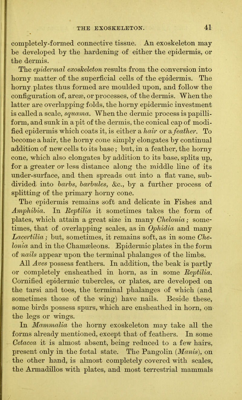 completely-formed connective tissue. An exoskeleton may be developed by the hardening of either the epidermis, or the dermis. The epidermal exosheleton results from the conversion into horny matter of the superficial cells of the epidermis. The homy plates thus formed are moulded upon, and follow the configuration of, arese, or processes, of the dermis. When the latter are overlapping folds, the horny epidermic investment is called a scale, squama. When the dermic process is papilli- form, and sunk in a pit of the dermis, the conical cap of modi- fied epidermis which coats it, is either a hair or afeather. To become a hair, the horny cone simply elongates by continual addition of new cells to its base; but, in a feather, the horny cone, which also elongates by addition to its base, splits up, for a greater or less distance along the middle line of its under-surface, and then spreads out into a flat vane, sub- divided. into barbs, barbules, &c., by a further process of splitting of the primary horny cone. The epidermis remains soft and delicate in Fishes and Amphibia. In Beptilia it sometimes takes the form of plates, which attain a great size in many Ghelonia; some- times, that of overlapping scales, as in Ophidia and many Lacertilia; but, sometimes, it remains soft, as in some Che- lonia and in the Chamseleons. Epidermic plates in the form of nails appear upon the terminal phalanges of the limbs. All Aves possess feathers. In addition, the beak is partly or completely ensheathed in horn, as in some Beptilia. Cornified epidermic tubercles, or plates, are developed on the tarsi and toes, the terminal phalanges of which (and sometimes those of the wing) have nails. Beside these, some birds possess spurs, which are ensheathed in horn, on the legs or wings. In Mammalia the horny exoskeleton may take all the forms already mentioned, except that of feathers. In some Cetacea it is almost absent, being reduced to a few hairs, present only in the foetal state. The Pangolin (.Manis), on the other hand, is almost completely covered with scales, the Armadillos with plates, and most terrestrial mammals