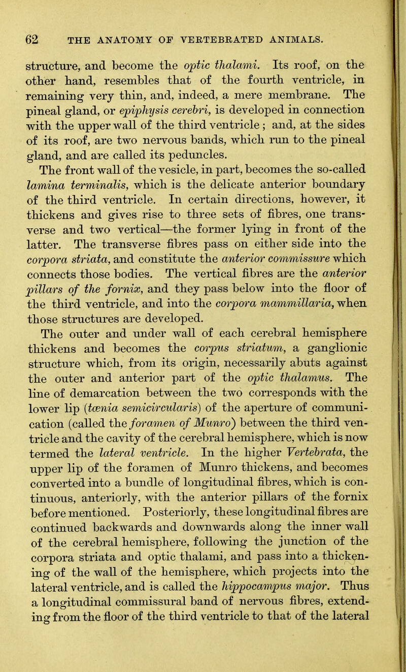 structure, and become tbe optic thalami. Its roof, on the other hand, resembles that of the fourth ventricle, in remaining very thin, and, indeed, a mere membrane. The pineal gland, or epiphysis cerebri, is developed in connection with the upper wall of the third ventricle; and, at the sides of its roof, are two nervous bands, which run to the pineal gland, and are called its peduncles. The front wall of the vesicle, in part, becomes the so-called lamina terminalis, which is the delicate anterior boundary of the third ventricle. In certain directions, however, it thickens and gives rise to three sets of fibres, one trans- verse and two vertical—the former lying in front of the latter. The transverse fibres pass on either side into the corpora striata, and constitute the anterior commissure which connects those bodies. The vertical fibres are the anterior pillars of the fornix, and they pass below into the floor of the third ventricle, and into the corpora mammillaria, when those structures are developed. The outer and under wall of each cerebral hemisphere thickens and becomes the corpus striatum, a ganglionic structure which, from its origin, necessarily abuts against the outer and anterior part of the optic thalamus. The line of demarcation between the two corresponds with the lower lip (:taenia semicircularis) of the aperture of communi- cation (called the foramen of Munro) between the third ven- tricle and the cavity of the cerebral hemisphere, which is now termed the lateral ventricle. In the higher Vertebrata, the upper lip of the foramen of Munro thickens, and becomes converted into a bundle of longitudinal fibres, which is con- tinuous, anteriorly, with the anterior pillars of the fornix before mentioned. Posteriorly, these longitudinal fibres are continued backwards and downwards along the inner wall of the cerebral hemisphere, following the junction of the corpora striata and optic thalami, and pass into a thicken- ing of the wall of the hemisphere, which projects into the lateral ventricle, and is called the hippocampus major. Thus a longitudinal commissural band of nervous fibres, extend- ing from the floor of the third ventricle to that of the lateral