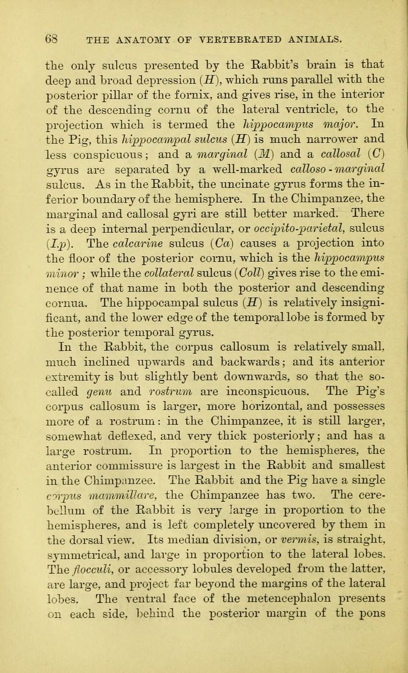 the only sulcus presented by the Rabbit’s brain is that deep and broad depression (H), which runs parallel with the posterior pillar of the fornix, and gives rise, in the interior of the descending cornu of the lateral ventricle, to the projection which is termed the liipjpocamjpus major. In the Pig, this hippocampal sulcus (H) is much narrower and less conspicuous; and a marginal (M) and a callosal (0) gyrus are separated by a well-marked calloso - marginal sulcus. As in the Rabbit, the uncinate gyrus forms the in- ferior boundary of the hemisphere. In the Chimpanzee, the marginal and callosal gyri are still better marked. ‘There is a deep internal perpendicular, or occipito-parietal, sulcus (Ip). The calcarine sulcus (Ca) causes a projection into the floor of the posterior cornu, which is the hippocampus minor ; while the collateral sulcus (Coll) gives rise to the emi- nence of that name in both the posterior and descending cornua. The hippocampal sulcus (H) is relatively insigni- ficant, and the lower edge of the temporal lobe is formed by the posterior temporal gyrus. In the Rabbit, the corpus callosum is relatively small, much inclined upwards and backwards; and its anterior extremity is but slightly bent downwards, so that the so- called genu and rostrum are inconspicuous. The Pig’s corpus callosum is larger, more horizontal, and possesses more of a rostrum: in the Chimpanzee, it is still larger, somewhat deflexed, and very thick posteriorly; and has a large rostrum. In proportion to the hemispheres, the anterior commissure is largest in the Rabbit and smallest in the Chimpanzee. The Rabbit and the Pig have a single corpus mammillare, the Chimpanzee has two. The cere- bellum of the Rabbit is very large in proportion to the hemispheres, and is left completely uncovered by them in the dorsal view. Its median division, or vermis, is straight, symmetrical, and large in proportion to the lateral lobes. The flocculi, or accessory lobules developed from the latter, are large, and project far beyond the margins of the lateral lobes. The ventral face of the metencephalon presents on each side, behind the posterior margin of the pons
