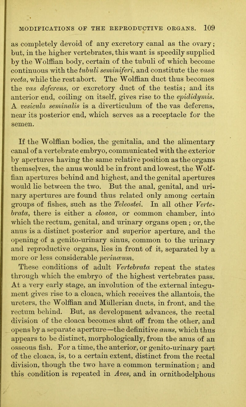 as completely devoid of any excretory canal as the ovary; but, in the higher vertebrates, this want is speedily supplied by the Wolffian body, certain of the tubuli of which become continuous with the tubuli seminiferi, and constitute the vasa recta, while the rest abort. The Wolffian duct thus becomes the vas deferens, or excretory duct of the testis; and its anterior end, coiling on itself, gives rise to the epididymis. A vesicula seminalis is a diverticulum of the vas deferens, near its posterior end, which serves as a receptacle for the semen. If the Wolffian bodies, the genitalia, and the alimentary canal of a vertebrate embryo, communicated with the exterior by apertures having the same relative position as the organs themselves, the anus would be in front and lowest, the Wolf- fian apertures behind and highest, and the genital apertures would lie between the two. But the anal, genital, and uri- nary apertures are found thus related only among certain groups of fishes, such as the Teleostei. In all other Verte- brata, there is either a cloaca, or common chamber, into which the rectum, genital, and urinary organs open; or, the anus is a distinct posterior and superior aperture, and the opening of a genito-urinary sinus, common to the urinary and reproductive organs, lies in front of it, separated by a more or less considerable perinceum. These conditions of adult Vertebrata repeat the states through which the embryo of the highest vertebrates pass. At a very early stage, an involution of the external integu- ment gives rise to a cloaca, which receives the allantois, the ureters, the Wolffian and Mullerian ducts, in front, and the rectum behind. But, as development advances, the rectal division of the cloaca becomes shut off from the other, and opens by a separate aperture—the definitive anus, which thus appears to be distinct, morphologically, from tbe anus of an osseous fish. For a time, the anterior, or genito-urinary part of the cloaca, is, to a certain extent, distinct from the rectal division, though the two have a common termination; and this condition is repeated in Aves, and in ornithodelphous