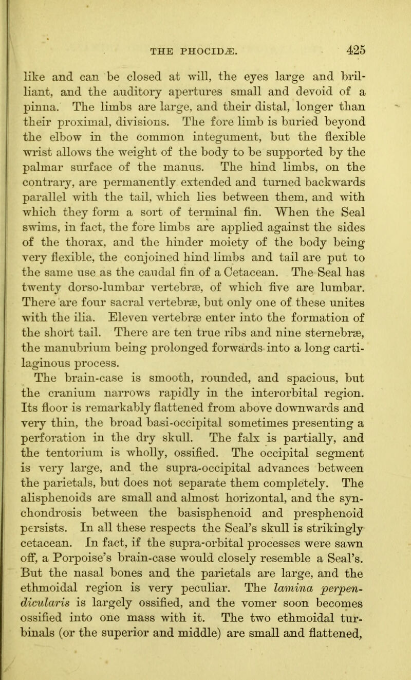 like and can be closed at will, the eyes large and bril- liant, and tbe auditory apertures small and devoid of a pinna. The limbs are large, and their distal, longer than their proximal, divisions. The fore limb is buried beyond the elbow in the common integument, but the flexible wrist allows the weight of the body to be supported by the palmar surface of the manus. The hind limbs, on the contrary, are permanently extended and turned backwards parallel with the tail, which lies between them, and with which they form a sort of terminal fin. When the Seal swims, in fact, the fore limbs are applied against the sides of the thorax, and the hinder moiety of the body being very flexible, the conjoined hind limbs and tail are put to the same use as the caudal fin of a Cetacean. The Seal has twenty dorso-lumbar vertebrae, of which five are lumbar. There are four sacral vertebrae, but only one of these unites with the ilia. Eleven vertebrae enter into the formation of the short tail. There are ten true ribs and nine sternebrae, the manubrium being prolonged forwards into a long carti- laginous process. The brain-case is smooth, rounded, and spacious, but the cranium narrows rapidly in the interorbital region. Its floor is remarkably flattened from above downwards and very thin, the broad basi-occipital sometimes presenting a perforation in the dry skull. The falx is partially, and the tentorium is wholly, ossified. The occipital segment is very large, and the supra-occipital advances between the parietals, but does not separate them completely. The alisphenoids are small and almost horizontal, and the syn- chondrosis between the basisphenoid and presphenoid persists. In all these respects the Seal’s skull is strikingly cetacean. In fact, if the supra-orbital processes were sawn off, a Porpoise’s brain-case would closely resemble a Seal’s. But the nasal bones and the parietals are large, and the ethmoidal region is very peculiar. The lamina perpen- diculars is largely ossified, and the vomer soon becomes ossified into one mass with it. The two ethmoidal tur- binals (or the superior and middle) are small and flattened,