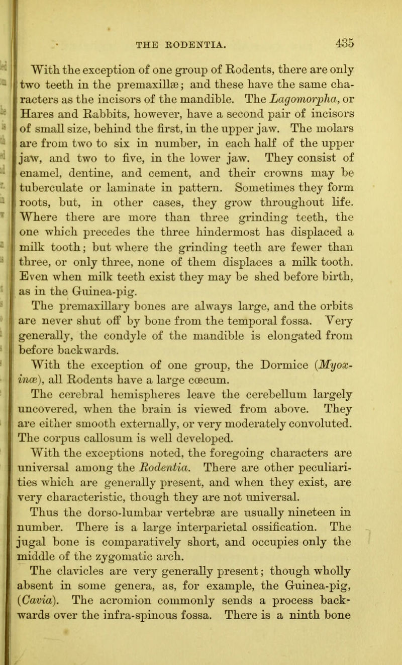 I With the exception of one group of Rodents, there are only - two teeth in the premaxillae; and these have the same cha- racters as the incisors of the mandible. The Lagomorplia, or Hares and Rabbits, however, have a second pair of incisors of small size, behind the first, in the upper jaw. The molars are from two to six in number, in each half of the upper 1 jaw, and two to five, in the lower jaw. They consist of enamel, dentine, and cement, and their crowns may be ’ tuberculate or laminate in pattern. Sometimes they form roots, but, in other cases, they grow throughout life. T Where there are more than three grinding teeth, the one which precedes the three hindermost has displaced a ; | milk tooth; but where the grinding teeth are fewer than three, or only three, none of them displaces a milk tooth. Even when milk teeth exist they may be shed before birth, | as in the Guinea-pig. The premaxillary bones are always large, and the orbits are never shut off by bone from the temporal fossa. Very : | generally, the condyle of the mandible is elongated from before backwards. With the exception of one group, the Dormice (Myox- ince), all Rodents have a large coecum. The cerebral hemispheres leave the cerebellum largely ! uncovered, when the brain is viewed from above. They are either smooth externally, or very moderately convoluted. The corpus callosum is well developed. With the exceptions noted, the foregoing characters are i universal among the Bodentia. There are other peculiari- ties which are generally present, and when they exist, are very characteristic, though they are not universal. Thus the dorso-lumbar vertebrae are usually nineteen in number. There is a large interparietal ossification. The I jugal bone is comparatively short, and occupies only the middle of the zygomatic arch. The clavicles are very generally present; though wholly absent in some genera, as, for example, the Guinea-pig, (Cavia). The acromion commonly sends a process back- wards over the infra-spinous fossa. There is a ninth bone