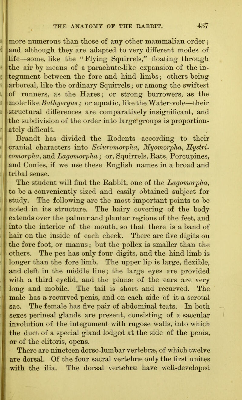 more numerous than those of any other mammalian order; and although they are adapted to very different modes of life—some, like the “ Flying Squirrels,” floating through the air by means of a parachute-like expansion of the in- tegument between the fore and hind limbs; others being arboreal, like the ordinary Squirrels; or among the swiftest of runners, as the Hares; or strong burrowers, as the mole-like Batliyergus; or aquatic, like the Water-vole—their structural differences are comparatively insignificant, and the subdivision of the order into large* groups is proportion- ately difficult. Brandt has divided the Rodents according to their cranial characters into Sciuromorpha, Myomorpha, Hystri- comorpha, and Lagomorpha; or, Squirrels, Rats, Porcupines, and Conies, if we use these English names in a broad and tribal sense. The student will find the Rabbit, one of the Lagomorpha, to be a conveniently sized and easily obtained subject for study. The following are the most important points to be noted in its structure. The hairy covering of the body extends over the palmar and plantar regions of the feet, and into the interior of the mouth, so that there is a band of hair on the inside of each cheek. There are five digits on the fore foot, or manus; but the pollex is smaller than the others. The pes has only four digits, and the hind limb is longer than the fore limb. The upper lip is large, flexible, and cleft in the middle line; the large eyes are provided with a third eyelid, and the pinnae of the ears are very long and mobile. The tail is short and recurved. The male has a recurved penis, and on each side of it a scrotal sac. The female has five pair of abdominal teats. In both sexes perineal glands are present, consisting of a saccular involution of the integument with rugose walls, into which the duct of a special gland lodged at the side of the penis, or of the clitoris, opens. There are nineteen dorso-lumbar vertebrae, of which twelve are dorsal. Of the four sacral vertebrae only the first unites with the ilia. The dorsal vertebrae have well-developed