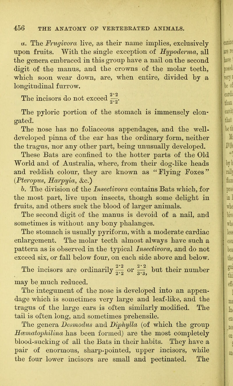 a. The Frugivora live, as their name implies, exclusively upon fruits. With the single exception of Hypoderma, all the genera embraced in this group have a nail on the second digit of the manus, and the crowns of the molar teeth, which soon wear down, are, when entire, divided by a longitudinal furrow. 2*2 The incisors do not exceed —. The pyloric portion of the stomach is immensely elon- gated. The hose has no foliaceous appendages, and the well- developed pinna of the ear has the ordinary form, neither the tragus, nor any other part, being unusually developed. These Bats are confined to the hotter parts of the Old World and of Australia, where, from their dog-like heads and reddish colour, they are known as “Flying Foxes” (.Pteropus, Harpyia, &c.) b. The division of the Insectivora contains Bats which, for the most part, live upon insects, though some delight in fruits, and others suck the blood of larger animals. The second digit of the manus is devoid of a nail, and sometimes is without any bony phalanges. The stomach is usually pyriform, with a moderate cardiac enlargement. The molar teeth almost always have such a pattern as is observed in the typical Insectivora, and do not exceed six, or fall below four, on each side above and below. • •2*2 2*2 The incisors are ordinarily — or — but their number may be much reduced. The integument of the nose is developed into an appen- dage which is sometimes very large and leaf-like, and the tragus of the large ears is often similarly modified. The tail is often long, and sometimes prehensile. The genera Desmodus and Diphylla (of which the group H'cematophilina has been formed) are the most completely blood-sucking of all the Bats in their habits. They have a pair of enormous, sharp-pointed, upper incisors, while the four lower incisors are small and pectinated. The
