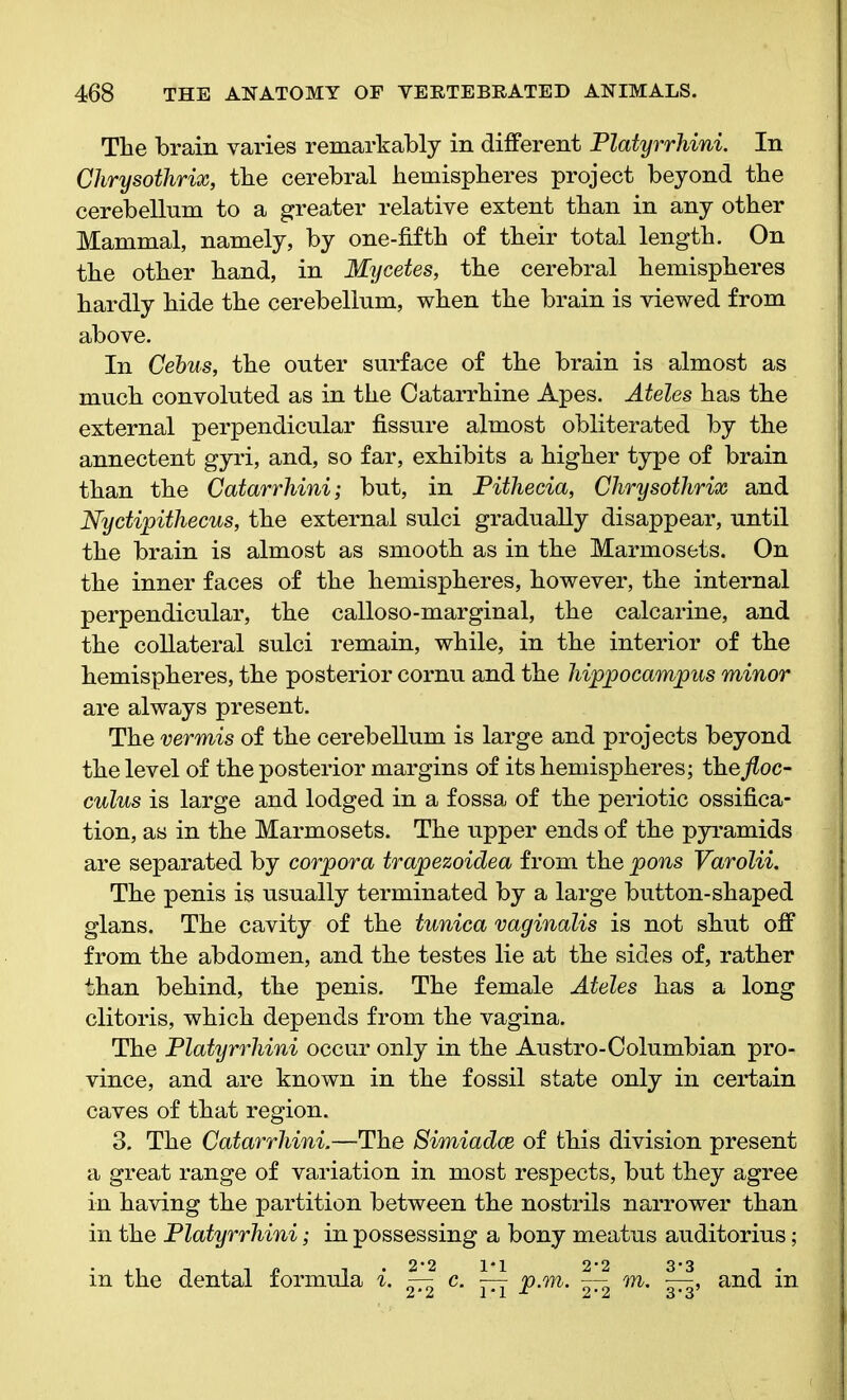 The brain varies remarkably in different Platyrrhini. In Chrysothrix, the cerebral hemispheres project beyond the cerebellum to a greater relative extent than in any other Mammal, namely, by one-fifth of their total length. On the other hand, in Mycetes, the cerebral hemispheres hardly hide the cerebellum, when the brain is viewed from above. In Cebus, the outer surface of the brain is almost as much convoluted as in the Oatarrhine Apes. Ateles has the external perpendicular fissure almost obliterated by the annectent gyri, and, so far, exhibits a higher type of brain than the Catarrhini; but, in Pithecia, Chrysothrix and Nyctipithecus, the external sulci gradually disappear, until the brain is almost as smooth as in the Marmosets. On the inner faces of the hemispheres, however, the internal perpendicular, the calloso-marginal, the calcarine, and the collateral sulci remain, while, in the interior of the hemispheres, the posterior cornu and the hippocampus minor are always present. The vermis of the cerebellum is large and projects beyond the level of the posterior margins of its hemispheres; the floc- culus is large and lodged in a fossa of the periotic ossifica- tion, as in the Marmosets. The upper ends of the pyramids are separated by corpora trapezoidea from the pons Varolii. The penis is usually terminated by a large button-shaped glans. The cavity of the tunica vaginalis is not shut off from the abdomen, and the testes lie at the sides of, rather than behind, the penis. The female Ateles has a long clitoris, which depends from the vagina. The Platyrrhini occur only in the Austro-Columbian pro- vince, and are known in the fossil state only in certain caves of that region. 3. The Catarrhini.—The Simiadce of this division present a great range of variation in most respects, but they agree in having the partition between the nostrils narrower than in the Platyrrhini; in possessing a bony meatus auditorius; 2*2 1*1 2*2 3*3 in the dental formula i. — c. — p.m. — m. , and in A A 1*1 M A* A o'o