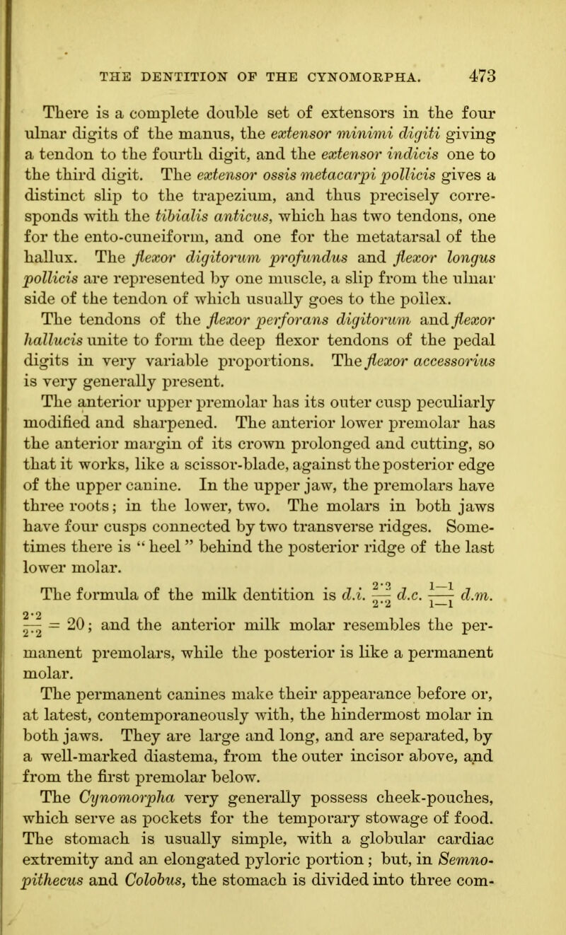 There is a complete double set of extensors in the four ulnar digits of the manus, the extensor minimi digiti giving a tendon to the fourth digit, and the extensor indicis one to the third digit. The extensor ossis metacarpi pollicis gives a distinct slip to the trapezium, and thus precisely corre- sponds with the tibialis anticus, which has two tendons, one for the ento-cuneiform, and one for the metatarsal of the hallux. The flexor digitorum profundus and flexor longus pollicis are represented by one muscle, a slip from the ulnar side of the tendon of which usually goes to the pollex. The tendons of the flexor perforans digitorum and flexor hallucis unite to form the deep flexor tendons of the pedal digits in very variable proportions. The flexor accessorius is very generally present. The anterior upper premolar has its outer cusp peculiarly modified and sharpened. The anterior lower premolar has the anterior margin of its crown prolonged and cutting, so that it works, like a scissor-blade, against the posterior edge of the upper canine. In the upper jaw, the premolars have three roots; in the lower, two. The molars in both jaws have four cusps connected by two transverse ridges. Some- times there is “ heel ” behind the posterior ridge of the last lower molar. The formula of the milk dentition is d.i. ~ d.c. 7—7 d.m. 4 4 1 1 2 • 2 — — 20; and the anterior milk molar resembles the per- manent premolars, while the posterior is like a permanent molar. The permanent canines make their appearance before or, at latest, contemporaneously with, the hindermost molar in both jaws. They are large and long, and are separated, by a well-marked diastema, from the outer incisor above, and from the first premolar below. The Cynomorpha very generally possess cheek-pouches, which serve as pockets for the temporary stowage of food. The stomach is usually simple, with a globular cardiac extremity and an elongated pyloric portion; but, in Semno- pithecus and Colobus, the stomach is divided into three com-