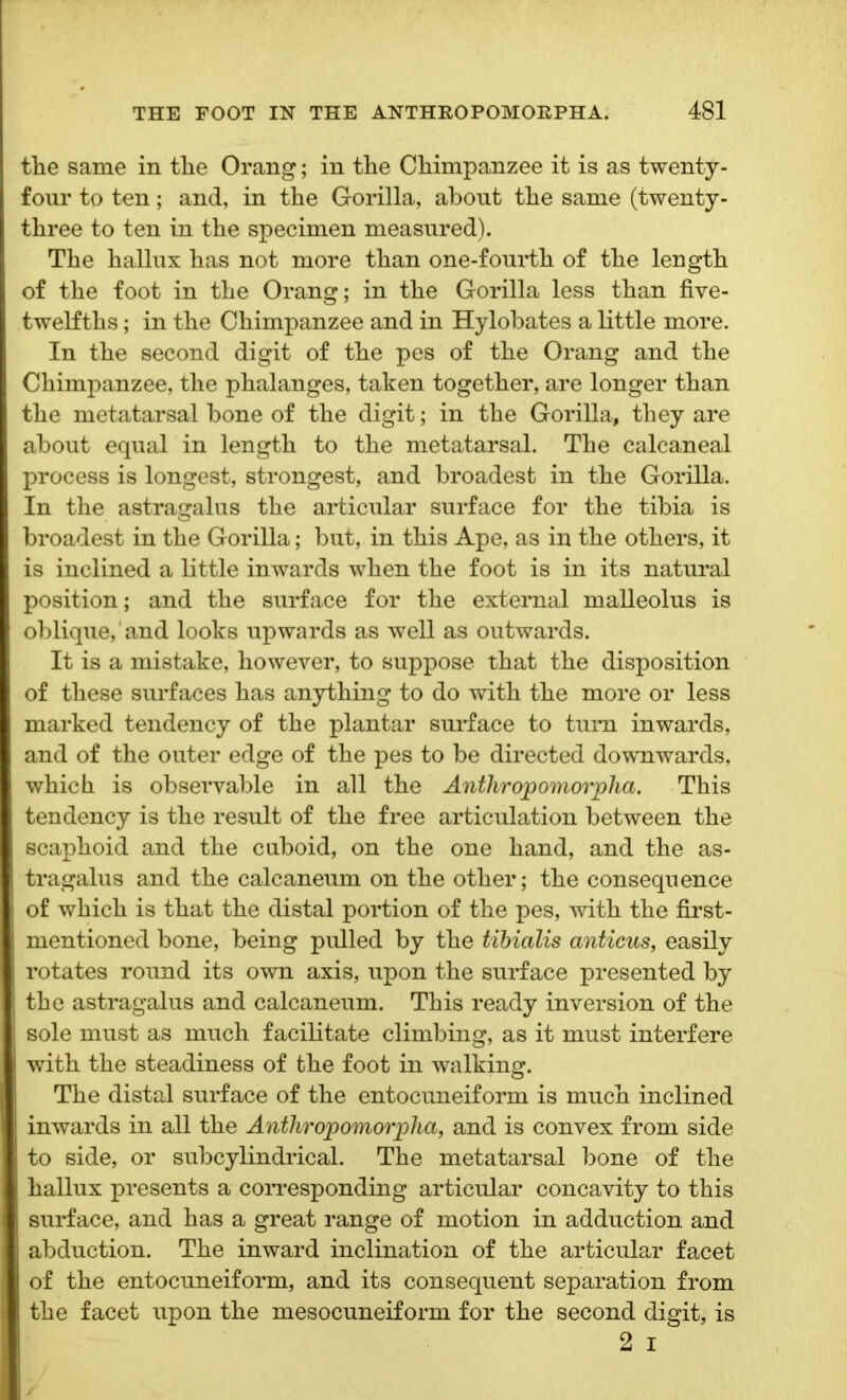 the same in the Orang; in the Chimpanzee it is as twenty- four to ten; and, in the Gorilla, about the same (twenty- three to ten in the specimen measured). The hallux has not more than one-fourth of the length of the foot in the Orang; in the Gorilla less than five- twelfths ; in the Chimpanzee and in Hylobates a little more. In the second digit of the pes of the Orang and the Chimpanzee, the phalanges, taken together, are longer than the metatarsal bone of the digit; in the Gorilla, they are about equal in length to the metatarsal. The calcaneal process is longest, strongest, and broadest in the Gorilla. In the astragalus the articular surface for the tibia is broadest in the Gorilla; but, in this Ape, as in the others, it is inclined a little inwards when the foot is in its natural position; and the surface for the external malleolus is oblique, and looks upwards as well as outwards. It is a mistake, however, to suppose that the disposition of these surfaces has anything to do with the more or less marked tendency of the plantar surface to turn inwards, and of the outer edge of the pes to be directed downwards, which is observable in all the Anthropomorpha. This tendency is the result of the free articulation between the scaphoid and the cuboid, on the one hand, and the as- tragalus and the calcaneum on the other; the consequence of which is that the distal portion of the pes, with the first- mentioned bone, being pulled by the tibialis anticus, easily rotates round its own axis, upon the surface presented by the astragalus and calcaneum. This ready inversion of the sole must as much facilitate climbing, as it must interfere with the steadiness of the foot in walking. The distal surface of the entocuneiform is much inclined inwards in all the Anthropomorpha, and is convex from side to side, or subcylindrical. The metatarsal bone of the hallux presents a corresponding articular concavity to this surface, and has a great range of motion in adduction and abduction. The inward inclination of the articular facet of the entocuneiform, and its consequent separation from the facet upon the mesocuneiform for the second digit, is 2 i
