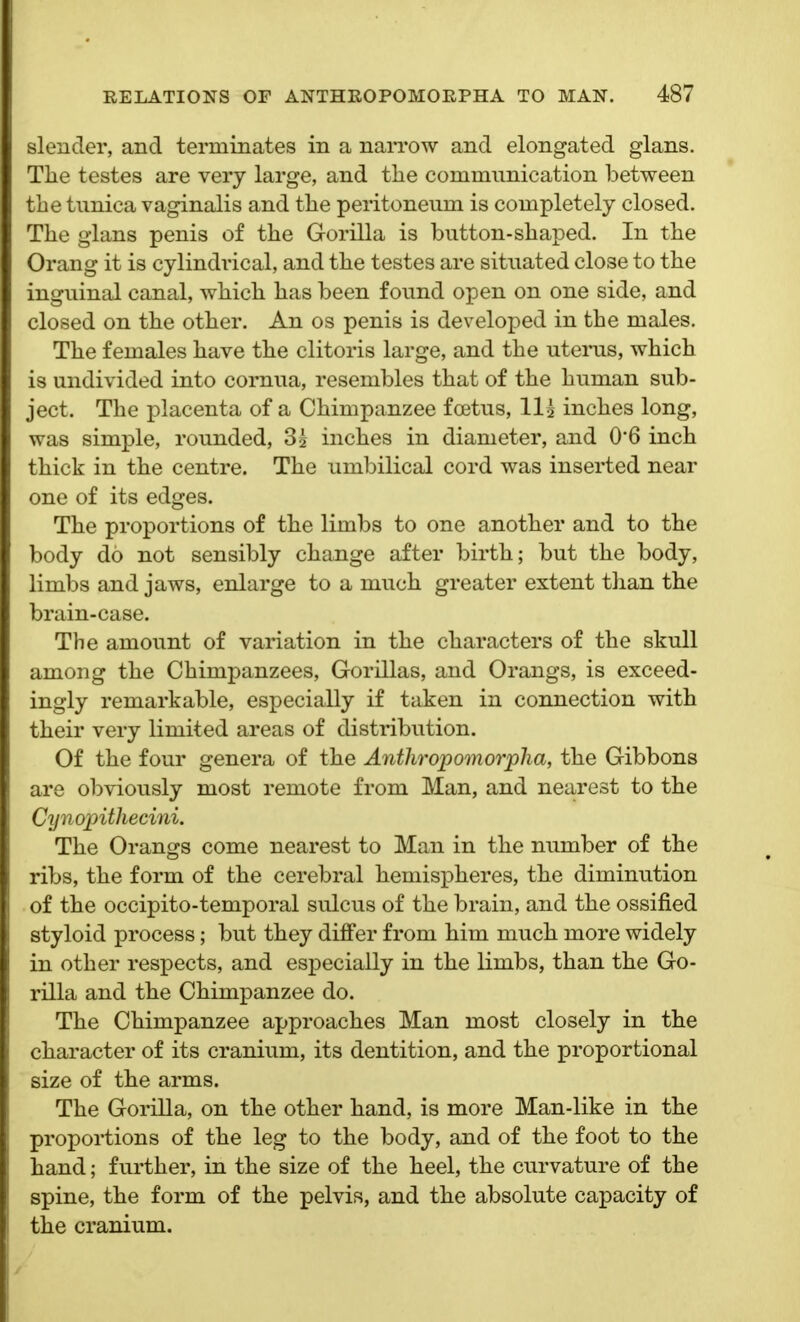 slender, and terminates in a narrow and elongated glans. The testes are very large, and the communication between the tunica vaginalis and the peritoneum is completely closed. The glans penis of the Gorilla is button-shaped. In the Orang it is cylindrical, and the testes are situated close to the inguinal canal, which has been found open on one side, and closed on the other. An os penis is developed in the males. The females have the clitoris large, and the uterus, which is undivided into cornua, resembles that of the human sub- ject. The placenta of a Chimpanzee foetus, II5 inches long, was simple, rounded, 35 inches in diameter, and 0'6 inch thick in the centre. The umbilical cord was inserted near one of its edges. The proportions of the limbs to one another and to the body do not sensibly change after birth; but the body, limbs and jaws, enlarge to a much greater extent than the brain-case. The amount of variation in the characters of the skull among the Chimpanzees, Gorillas, and Orangs, is exceed- ingly remarkable, especially if taken in connection with their very limited areas of distribution. Of the four genera of the Anthropomorpha, the Gibbons are obviously most remote from Man, and nearest to the Cynopithecini. The Orangs come nearest to Man in the number of the ribs, the form of the cerebral hemispheres, the diminution of the occipito-temporal sulcus of the brain, and the ossified styloid process; but they differ from him much more widely in other respects, and especially in the limbs, than the Go- rilla and the Chimpanzee do. The Chimpanzee approaches Man most closely in the character of its cranium, its dentition, and the proportional size of the arms. The Gorilla, on the other hand, is more Man-like in the proportions of the leg to the body, and of the foot to the hand; further, in the size of the heel, the curvature of the spine, the form of the pelvis, and the absolute capacity of the cranium.