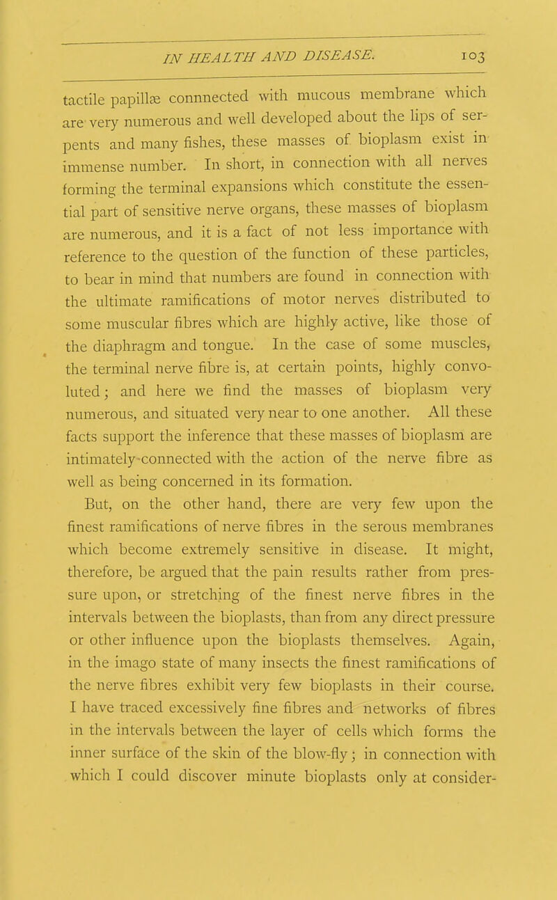 tactile papill® connnected with mucous membrane which are very numerous and well developed about the lips of ser peiits and many fishes, these masses of bioplasm exist in immense number. In short, in connection with all nerves forming the terminal expansions which constitute the essen- tial part of sensitive nerve organs, these masses of bioplasm are numerous, and it is a fact of not less importance with reference to the question of the function of these particles, to bear in mind that numbers are found in connection with the ultimate ramifications of motor nerves distributed to some muscular fibres which are highly active, like those of the diaphragm and tongue. In the case of some muscles, the terminal nerve fibre is, at certain points, highly convo- luted; and here we find the masses of bioplasm very numerous, and situated very near to one another. All these facts support the inference that these masses of bioplasm are intimately-connected with the action of the neiwe fibre as well as being concerned in its formation. But, on the other hand, there are very few upon the finest ramifications of nerve fibres in the serous membranes which become extremely sensitive in disease. It might, therefore, be argued that the pain results rather from pres- sure upon, or stretching of the finest nerve fibres in the intervals between the bioplasts, than from any direct pressure or other influence upon the bioplasts themselves. Again, in the imago state of many insects the finest ramifications of the nerve fibres exhibit very few bioplasts in their course. I have traced excessively fine fibres and networks of fibres in the intervals between the layer of cells which forms the inner surface of the skin of the blow-fly; in connection with which I could discover minute bioplasts only at consider-