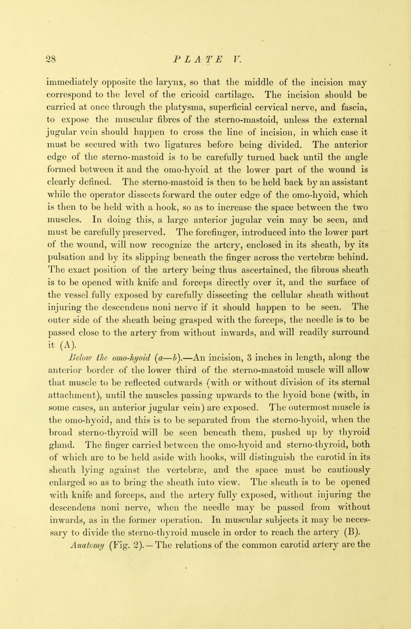 immediately opposite tlie larynx, so tliat the middle of the incision may correspond to the level of the cricoid cartilage. The incision should he carried at once through the platysma, superficial cervical nerve, and fascia, to expose the muscular fibres of the sterno-mastoid, unless the external jugular vein should happen to cross the line of incision, in which case it must be secured with two ligatures before being divided. The anterior edge of the sterno-mastoid is to be carefully turned back until the angle formed between it and the omo-hyoid at the lower part of the wound is clearly defined. The sterno-mastoid is then to be held back by an assistant while the operator dissects forward the outer edge of the omo-hyoid, which is then to be held with a hook, so as to increase the space between the two muscles. In doing this, a large anterior jugular vein may be seen, and must be carefully preserved. The forefinger, introduced into the lower part of the wound, will now recognize the artery, enclosed in its sheath, by its pulsation and by its slipping beneath the finger across the vertebrae behind. The exact position of the artery being thus ascertained, the fibrous sheath is to be opened with knife and forceps directly over it, and the surface of the vessel fully exposed by carefully dissecting the cellular sheath without injuring the descendens noni nerve if it should happen to be seen. The outer side of the sheath being grasped with the forceps, the needle is to be passed close to the artery from without inwards, and will readily surround it (A). Beloiv the omo-hyoid (a—h).—An incision, 3 inches in length, along the anterior border of the lower third of the sterno-mastoid muscle will allow that muscle to be reflected outwards (with or without division of its sternal attachment), until the muscles passing upwards to the hyoid bone (with, in some cases, an anterior jugular vein) are exposed. The outermost muscle is the omo-hyoid, and this is to be separated from the sterno-hyoid, when the broad sterno-thyroid will be seen beneath them, pushed up by thyroid gland. The finger carried between the omo-hyoid and sterno-thyroid, both of which are to be held aside with hooks, will distinguish the carotid in its sheath lying against the vertebrae, and the space must be cautiously enlarged so as to bring the sheath into view. The sheath is to be opened, with knife and forceps, and the artery fully exposed, without injuring the descendens noni nerve, when the needle may be passed from without inwards, as in the former operation. In muscular subjects it may be neces- sary to divide the sterno-thyroid muscle in order to reach the artery (B). Anatomy (Fig. 2). — The relations of the common carotid artery are the