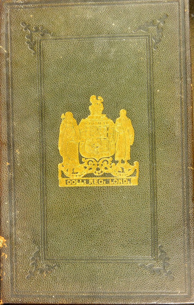 No text description is available for this image