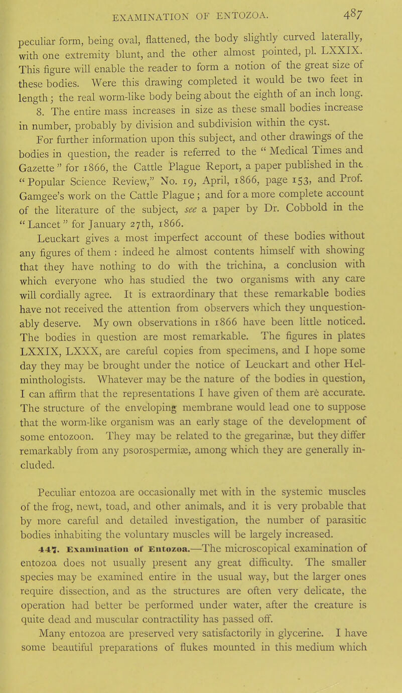 peculiar form, being oval, flattened, the body slightly curved laterally, with one extremity blunt, and the other almost pointed, pi. LXXIX. This figure will enable the reader to form a notion of the great size of these bodies. Were this drawing completed it would be two feet in length; the real worm-like body being about the eighth of an inch long. 8. The entire mass increases in size as these small bodies increase in number, probably by division and subdivision within the cyst. For further information upon this subject, and other drawings of the bodies in question, the reader is referred to the “ Medical Times and Gazette” for 1866, the Cattle Plague Report, a paper published in the “Popular Science Review,” No. 19, April, 1866, page 153, and Prof. Gamgee’s work on the Cattle Plague ; and for a more complete account of the literature of the subject, see a paper by Dr. Cobbold in the “ Lancet ” for January 27th, 1866. Leuckart gives a most imperfect account of these bodies without any figures of them : indeed he almost contents himself with showing that they have nothing to do with the trichina, a conclusion with which everyone who has studied the two organisms with any care will cordially agree. It is extraordinary that these remarkable bodies have not received the attention from observers which they unquestion- ably deserve. My own observations in 1866 have been little noticed. The bodies in question are most remarkable. The figures in plates LXXIX, LXXX, are careful copies from specimens, and I hope some day they may be brought under the notice of Leuckart and other Hel- minthologists. Whatever may be the nature of the bodies in question, I can affirm that the representations I have given of them are accurate. The structure of the enveloping membrane would lead one to suppose that the worm-like organism was an early stage of the development of some entozoon. They may be related to the gregarinse, but they differ remarkably from any psorospermise, among which they are generally in- cluded. Peculiar entozoa are occasionally met with in the systemic muscles of the frog, newt, toad, and other animals, and it is very probable that by more careful and detailed investigation, the number of parasitic bodies inhabiting the voluntary muscles will be largely increased. 447. Examination of Entozoa.—The microscopical examination of entozoa does not usually present any great difficulty. The smaller species may be examined entire in the usual way, but the larger ones require dissection, and as the structures are often very delicate, the operation had better be performed under water, after the creature is quite dead and muscular contractility has passed oft'. Many entozoa are preserved very satisfactorily in glycerine. I have some beautiful preparations of flukes mounted in this medium which