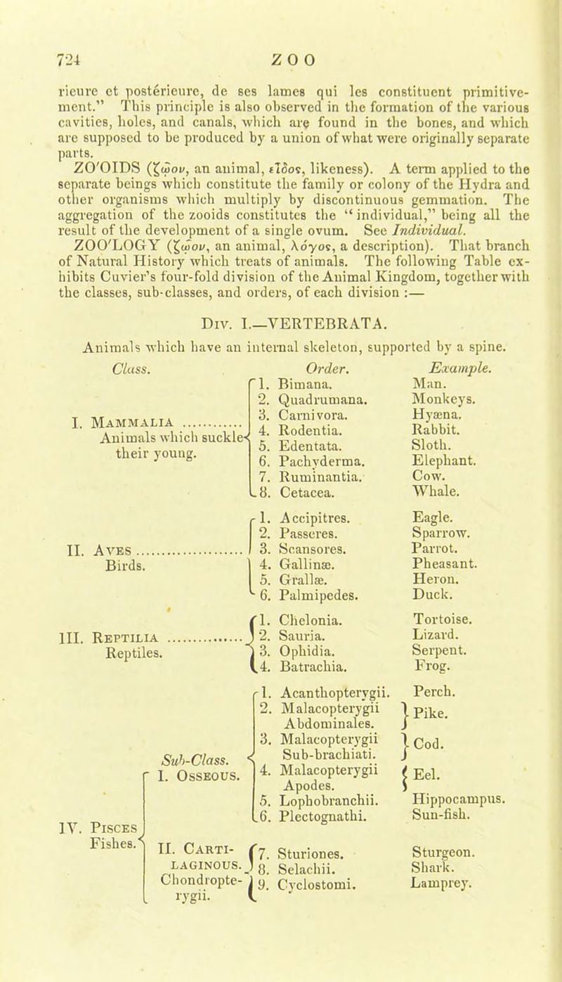 rieure ct posterieurc, de ses lames qui les constituent primitive- inent.” This principle is also observed in the fornaation of the various cavities, holes, and canals, which are found in the bones, and which are supposed to be produced by a union of what were originally separate parts. ZO'OIDS (^woiy, an animal, eldov, likeness). A term applied to the separate beings which constitute the family or colony of the Hydra and other organisms which multiply by discontinuous gemmation. The aggregation of the zooids constitutes the “ individual,” being all the result of the development of a single ovum. See Individtial. ZOO'LOGY an animal, Xeyos, a description). That branch of Natural History which treats of animals. The following Table ex- hibits Cuvier’s four-fold division of the Animal Kingdom, together with the classes, sub-classes, and orders, of each division :— Div. I.—VERTEBRATA. Animals which have an internal skeleton, supported by a spine. Class. I. Mammalia Order. Example. their young. II. Aves ... Birds. III. Reptilia Reptiles. IV. Pisces Fishes.' Suh-Class. 1. Osseous. II. Carti- rygu. fl- Bimana. Man. 2. Quadrumana. Monkeys. d! Canii vora. Hya:na. 4. Rodentia. Rabbit. 5. Edentata. Sloth. 6. Pachyderma. Elephant. 7. Ruminantia. Cow. L8. Cetacea. Whale. f 1- Accipitres. Eagle. 2. Passeres. Sparrow. 3. 8cansores. Parrot. 4. Gallinaa. Pheasant. 5. Grallae. Heron. '■6. Palmipedes. Duck. fl- Chelonia. Tortoise. J2. Sauria. Lizard. is. Opbidia. Serpent. (4. Batrachia. Frog. ri. Acanthopterygii. Perch. 2. Malacopterygii Abdominales. . Pike. 3. Malacopterygii ■ Cod. < Sub-brachiati. 4. Malacopterygii i Apodes. Eel. 5. Lophobranchii. Hippocampus L6. Plectognathi. Sun-fish. (7. Sturiones. Sturgeon. .'s. Selachii. Shark. Cyclostomi. Lamprey.