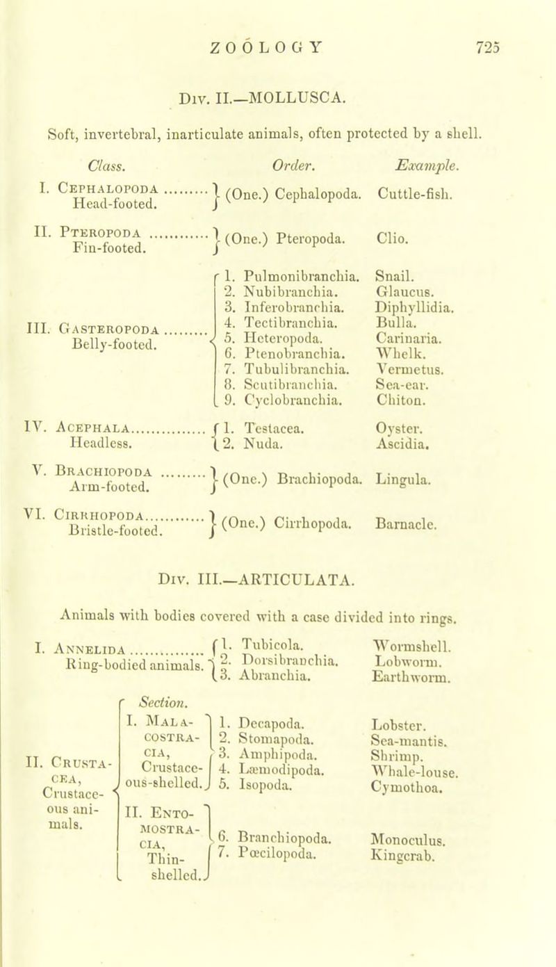 ZOOLOGY i Div. IL—MOLLUSC A. Soft, invertebral, inarticulate animals, often protected by a shell. Class. Order. 1. Cephalopoda Head-footed. j- (One.) Cephalopoda. II. Pteropoda Fin-footed. III. Gasteropoda Belly-footed. IV. Acephala Headless. \. Brachiopoda . Arm-footed. VI. ClRRHOPODA.... Bristle-footed. (One.) Pteropoda. ' 1. Pulmonibrancbia. 2. Nubibrancbia. 3. Inferobranchia. 4. Tectibranchia. J S. Heteropoda. 6. Ptenobrancbia. 7. Tubulibrancbia. 8. Sciitibiancbia. . 9. Cyclobranchia. f 1. Testacea. (2. Nuda. j- (One.) Brachiopoda. I (One.) Cirrhopoda. Example. Cuttle-fish. Clio. Snail. Glaucus. Diphyllidia. Bulla. Carinaria. Whelk. Vermetus. Sea-ear. Chiton. Oyster. Ascidia. Lingula. Barnacle. Div. hi.—ARTICULATA. Animals with bodies covered with a case divided into rings. I. Annelida T'whicola. Wormshell. Ring-bodied animals, i o' Lobworm. (o. Abranchia. Earthworm. ' Section. II. Crust.a- CEA, Crustace- * ous ani- mals. I. Mala- 1. Dccapoda. cosTRA- 2. Stomapoda. CIA, I 3. Amphipoda. Crustace- I 4. lAemodipoda. oiis-shelled.J 5. Isopoda. II. Ento- MOSTRA- CIA, Thin- shelled. I J 6. Branchiopoda. 7. Poecilopoda. Lobster. Sea-mantis. Shrimp. Whale-louse. Cymothoa. Monoculus. Kingcrab.