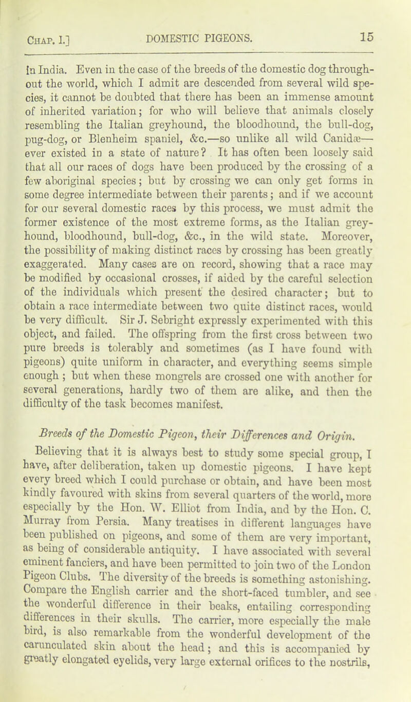 In India. Even in the case of the breeds of the domestic dog through- out the world, which I admit are descended from several -wild spe- cies, it cannot be doubted that there has been an immense amount of inherited variation; for who will believe that animals closely- resembling the Italian greyhound, the bloodhound, the bull-dog, pug-dog, or Blenheim spaniel, &c.—so unlike all wild Canida?— ever existed iD a state of nature ? It has often been loosely said that all our races of dogs have been produced by the crossing of a few aboriginal species; but by crossing we can only get forms in some degree intermediate between their parents; and if we account for our several domestic races by this process, we must admit the former existence of the most extreme forms, as the Italian grey- hound, bloodhound, bull-dog, &c., in the wild state. Moreover, the possibility of making distinct races by crossing has been greatly exaggerated. Many cases are on record, showing that a race may be modified by occasional crosses, if aided by the careful selection of the individuals which present the desired character; but to obtain a race intermediate between two quite distinct races, would be very difficult. Sir J. Sebright expressly experimented with this object, and failed. The offspring from the first cross between two pure breeds is tolerably and sometimes (as I have found with pigeons) quite uniform in character, and everything seems simple enough ; but when these mongrels are crossed one with another for several generations, hardly two of them are alike, and then the difficulty of the task becomes manifest. Breeds of the Domestic Pigeon, their Differences and Origin. Believing that it is always best to study some special group, I have, after deliberation, taken up domestic pigeons. I have kept every breed which I could purchase or obtain, and have been most kindly favoured with skins from several quarters of the world, more especially by the Hon. W. Elliot from India, and by the Hon. C. Murray from Persia. Many treatises in different languages have been published on pigeons, and some of them are very important, as being of considerable antiquity. I have associated with several eminent fanciers, and have been permitted to join two of the London Pigeon Clubs. rl he diversity of the breeds is something astonishing. Compare the English carrier and the short-faced tumbler, and see the wonderful diflerence in their beaks, entailing corresponding differences in their skulls. The carrier, more especially the male biul, is also remarkable from the wonderful development of the caiunculated skin about the head; and this is accompanied by gmatly elongated eyelids, very large external orifices to the nostrils,