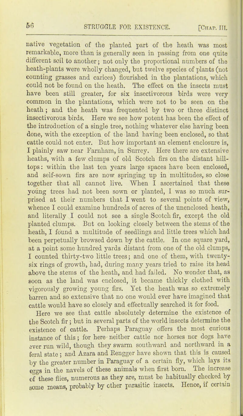 [Ciiai\ III. native vegetation of the planted part of the heath was most remarkable, more than is generally seen in passing from one quite different soil to another; not only the proportional numbers of the heath-plants were wholly changed, but twelve species of plants (not counting grasses and carices) flourished in the plantations, which could not be found on the heath. The effect on the insects must have been still greater, for six insectivorous birds were very common in the plantations, which were not to be seen on the heath; and the heath was frequented by two or three distinct insectivorous birds. Here we see how potent has been the effect of the introduction of a single tree, nothing whatever else having been done, with the exception of the land having been enclosed, so that cattle could not enter. But how important an element enclosure is, I plainly saw near Farnham, in Surrey. Here there are extensive heaths, with a few clumps of old Scotch firs on the distant hill- tops : within the last ten years large spaces have been enclosed, and self-sown firs are now springing up in multitudes, so close together that all cannot live. When I ascertained that these young trees had not been sown or planted, I was so much sur- prised at their numbers that I went to several points of view, whence I could examine hundreds of acres of the unenclosed heath, and literally I could not see a single Scotch fir, except the old planted clumps. But on looking closely between the stems of the heath, I found a multitude of seedlings and little trees which had been perpetually browsed down by the cattle. In one square yard, at a point some hundred yards distant from one of the old clumps, I counted thirty-two little trees; and one of them, with twenty- six rings of growth, had, during many years tried to raise its head above the stems of the heath, and had failed. No wonder that, as soon as the land was enclosed, it became thickly clothed with vigorously growing young firs. Yet the heath was so extremely barren and so extensive that no one would ever have imagined that cattle would have so closely and effectually searched it for food. Here we see that cattle absolutely determine the existence of the Scotch fir; but in several parts of the world insects determine the existence of cattle. Perhaps Paraguay offers the most curious instance of this; for here neither cattle nor horses nor dogs have ever run wild, though they swarm southward and northward in a feral state ; and Azara and Kengger have shown that this is caused by the greater number in Paraguay of a certain fly, which lays its e^s in the navels of these animals when first born. The increase oFthese flies, numerous as they are, must be habitually checked by some means, probably by ether parasitic insects. Hence, if certain