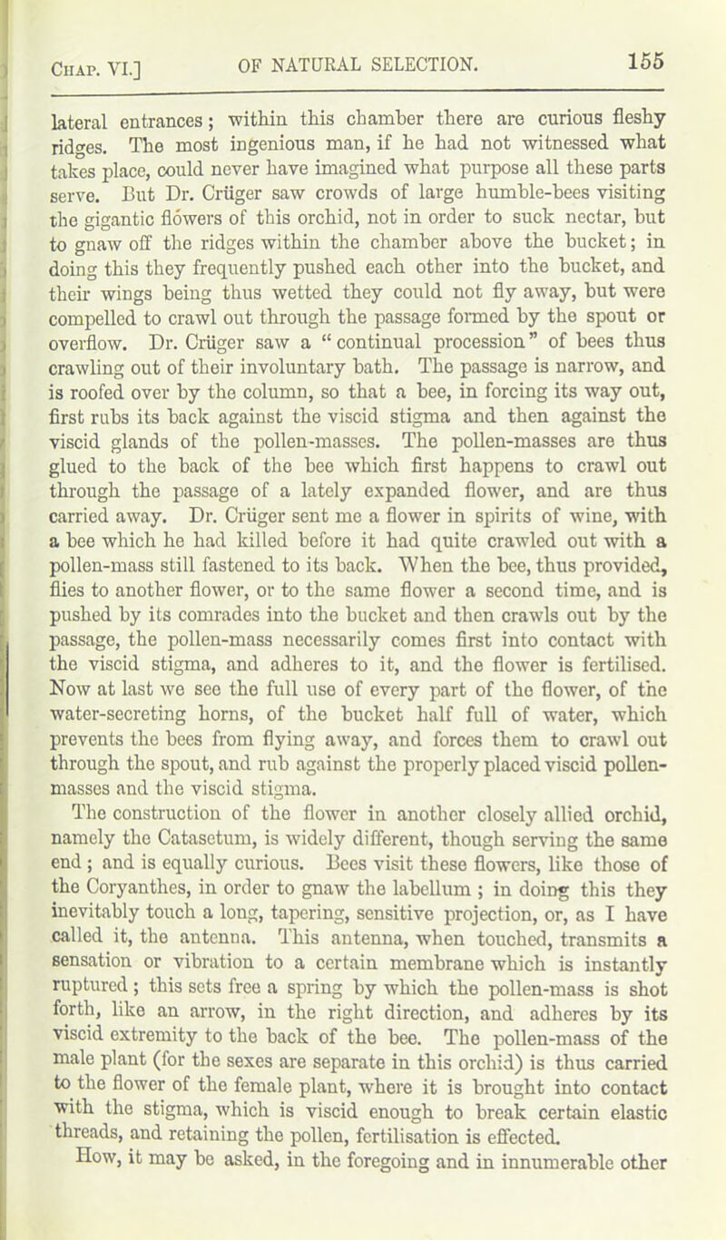 lateral entrances; within this chamber there are curious fleshy ridges. The most ingenious man, if he had not witnessed what takes place, could never have imagined what purpose all these parts serve. But Dr. Criiger saw crowds of large humble-bees visiting the gigantic flowers of this orchid, not in order to suck nectar, but to gnaw off the ridges within the chamber above the bucket; in doing this they frequently pushed each other into the bucket, and their wings being thus wetted they could not fly away, but were compelled to crawl out through the passage formed by the spout or overflow. Dr. Criiger saw a “ continual procession ” of bees thus crawling out of their involuntary bath. The passage is narrow, and is roofed over by the column, so that a bee, in forcing its way out, first rubs its back against the viscid stigma and then against the viscid glands of the pollen-masses. The pollen-masses are thus glued to the back of the bee which first happens to crawl out through the passage of a lately expanded flower, and are thus carried away. Dr. Criiger sent me a flower in spirits of wine, with a bee which he had killed before it had quite crawled out with a pollen-mass still fastened to its back. When the bee, thus provided, flies to another flower, or to the same flower a second time, and is pushed by its comrades into the bucket and then crawls out by the passage, the pollen-mass necessarily comes first into contact with the viscid stigma, and adheres to it, and the flower is fertilised. Now at last we see the full use of every part of the flower, of the water-secreting horns, of the bucket half full of water, which prevents the bees from flying away, and forces them to crawl out through the spout, and rub against the properly placed viscid pollen- masses and the viscid stigma. The construction of the flower in another closely allied orchid, namely the Catasetum, is widely different, though serving the same end ; and is equally curious. Bees visit these flowers, like those of the Coryanthes, in order to gnaw the labellum ; in doing this they inevitably touch a long, tapering, sensitive projection, or, as I have called it, the antenna. This antenna, when touched, transmits a sensation or vibration to a certain membrane which is instantly ruptured; this sets free a spring by which the pollen-mass is shot forth, like an arrow, in the right direction, and adheres by its viscid extremity to the back of the bee. The pollen-mass of the male plant (for the sexes are separate in this orchid) is thus carried to the flower of the female plant, where it is brought into contact with the stigma, which is viscid enough to break certain elastic threads, and retaining the pollen, fertilisation is effected. How, it may be asked, in the foregoing and in innumerable other