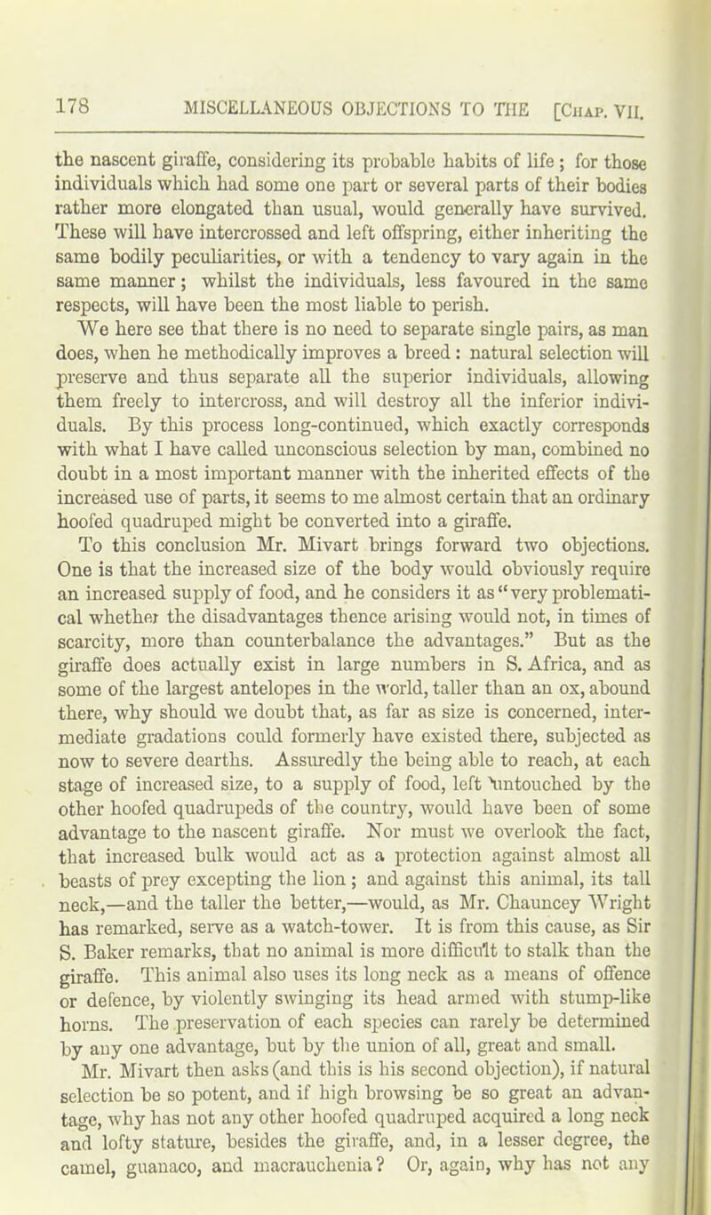 the nascent giraffe, considering its probable habits of life; for those individuals which had some one part or several parts of their bodies rather more elongated than usual, would generally have survived. These will have intercrossed and left offspring, either inheriting the same bodily peculiarities, or with a tendency to vary again in the same manner; whilst the individuals, less favoured in the same respects, will have been the most liable to perish. We here see that there is no need to separate single pairs, as man does, when he methodically improves a breed: natural selection will preserve and thus separate all the superior individuals, allowing them freely to intercross, and will destroy all the inferior indivi- duals. By this process long-continued, which exactly corresponds with what I have called unconscious selection by man, combined no doubt in a most important manner with the inherited effects of the increased use of parts, it seems to me almost certain that an ordinary hoofed quadruped might be converted into a giraffe. To this conclusion Mr. Mivart brings forward two objections. One is that the increased size of the body would obviously require an increased supply of food, and he considers it as “very problemati- cal whether the disadvantages thence arising would not, in times of scarcity, more than counterbalance the advantages.” But as the giraffe does actually exist in large numbers in S. Africa, and as some of the largest antelopes in the world, taller than an ox, abound there, why should we doubt that, as far as size is concerned, inter- mediate gradations could formerly have existed there, subjected as now to severe dearths. Assuredly the being able to reach, at each stage of increased size, to a supply of food, left \mtouched by the other hoofed quadrupeds of the country, would have been of some advantage to the nascent giraffe. Nor must we overlook the fact, that increased bulk would act as a protection against almost all beasts of prey excepting the lion ; and against this animal, its tall neck,—and the taller the better,—would, as Mr. Chauncey Wright has remarked, serve as a watch-tower. It is from this cause, as Sir S. Baker remarks, that no animal is more difficult to stalk than the giraffe. This animal also uses its long neck as a means of offence or defence, by violently swinging its head armed with stump-like horns. The preservation of each species can rarely be determined by any one advantage, but by the union of all, great and small. Mr. Mivart then asks (and this is his second objection), if natural selection be so potent, and if high browsing be so great an advan- tage, why has not any other hoofed quadruped acquired a long neck and lofty stature, besides the giraffe, and, in a lesser degree, the camel, guanaco, and macrauchenia ? Or, again, why has not any