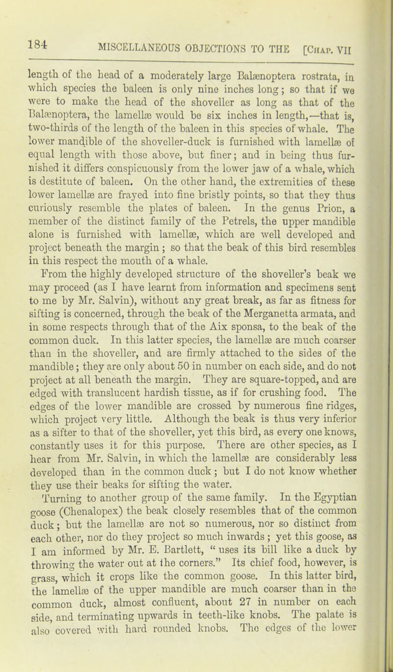 length of the head of a moderately large Balamoptera rostrata, in which species the baleen is only nine inches long; so that if we were to make the head of the shoveller as long as that of the Balamoptera, the lamellae would he six inches in length,—that is, two-thirds of the length of the baleen in this species of whale. The lower mandible of the shoveller-duck is furnished with lamella of equal length with those above, but liner; and in being thus fur- nished it differs conspicuously from the lower jaw of a whale, which is destitute of baleen. On the other hand, the extremities of these lower lamella are frayed into fine bristly points, so that they thus curiously resemble the plates of baleen. In the genus Prion, a member of the distinct family of the Petrels, the upper mandible alone is furnished with lamella, which are well developed and project beneath the margin ; so that the beak of this bird resembles in this respect the mouth of a whale. From the highly developed structure of the shoveller’s beak we may proceed (as I have learnt from information and specimens sent to me by Mr. Salvin), without any great break, as far as fitness for sifting is concerned, through the beak of the Merganetta armata, and in some respects through that of the Aix sponsa, to the beak of the common duck. In this latter species, the lamella; are much coarser than in the shoveller, and are firmly attached to the sides of the mandible; they are only about 50 in number on each side, and do not project at all beneath the margin. They are square-topped, and are edged with translucent hardish tissue, as if for crushing food. The edges of the lower mandible are crossed by numerous fine ridges, which project very little. Although the beak is thus very inferior as a sifter to that of the shoveller, yet this bird, as every one knows, constantly uses it for this purpose. There are other species, as I hear from Mr. Salvin, in which the lamella; are considerably less developed than in the common duck ; but I do not know whether they use their beaks for sifting the water. Turning to another group of the same family. In the Egyptian goose (Chenalopex) the beak closely resembles that of the common duck; but the lamella; are not so numerous, nor so distinct from each other, nor do they project so much inwards ; yet this goose, as I am informed by Mr. E. Bartlett, “ uses its bill like a duck by throwing the water out at ihe corners.” Its chief food, however, is grass, which it crops like the common goose. In this latter bird, the lamella; of the upper mandible are much coarser than in the common duck, almost confluent, about 27 in number on each side, and terminating upwards in teeth-like knobs. The palate is also covered with hard rounded knobs. The edges of the lower