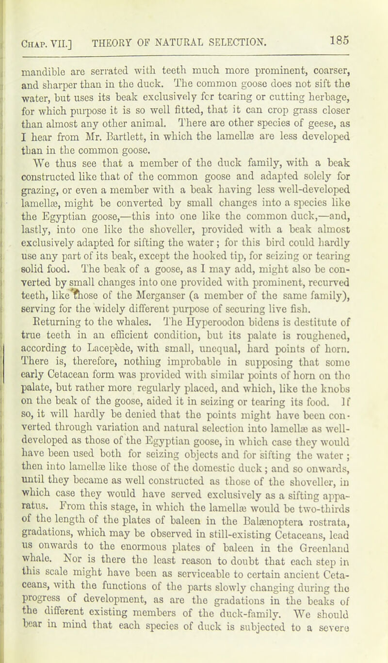 mandible are serrated with teeth much more prominent, coarser, i and sharper than in the duck. The common goose does not sift the water, but uses its beak exclusively for tearing or cutting herbage, for which purpose it is so well fitted, that it can crop grass closer than almost any other animal. There are other species of geese, as I hear from Mr. Bartlett, in which the lamellae are less developed l than in the common goose. We thus see that a member of the duck family, with a beak constructed like that of the common goose and adapted solely for grazing, or even a member with a beak having less well-developed lamella?, might be converted by small changes into a species like the Egyptian goose,—this into one like the common duck,—and, lastly, into one like the shoveller, provided with a beak almost exclusively adapted for sifting the water; for this bird could hardly use any part of its beak, except the hooked tip, for seizing or tearing solid food. The beak of a goose, as I may add, might also be con- verted by small changes into one provided with prominent, recurved teeth, likeThose of the Merganser (a member of the same family), serving for the widely different purpose of securing live fish. Returning to the whales. The Hyperoodon bidens is destitute of true teeth in an efficient condition, but its palate is roughened, i according to Lacepede, with small, unequal, hard points of horn. There is, therefore, nothing improbable in supposing that some early Cetacean form was provided with similar points of horn on the palate, but rather more regularly placed, and which, like the knobs on the beak of the goose, aided it in seizing or tearing its food. 1 f so, it will hardly be denied that the points might have been con- verted through variation and natural selection into lamella? as well- developed as those of the Egyptian goose, in which case they would have been used both for seizing objects and for sifting the water ; then into lamella? like those of the domestic duck ; and so onwards, until they became as well constructed as those of the shoveller, in which case they would have served exclusively as a sifting appa- ratus. From this stage, in which the lamella? would be two-thirds of the length of the plates of baleen in the Bala?noptera rostrata, gradations, which may be observed in still-existing Cetaceans, lead us onwards to the enormous plates of baleen in the Greenland whale. Ror is there the least reason to doubt that each step in this scale might have been as serviceable to certain ancient Ceta- ceans, with the functions of the parts slowly changing during the progress of development, as are the gradations in the beaks of the different existing members of the duck-family. We should bear in mind that each species of duck is subjected to a severe